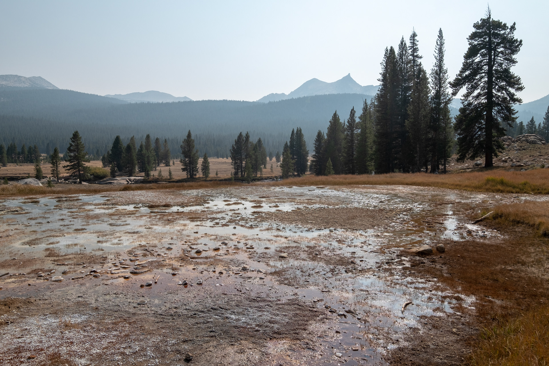 Yosemite - Soda Spring (agua con burbujitas) - Tuolumne Meadows