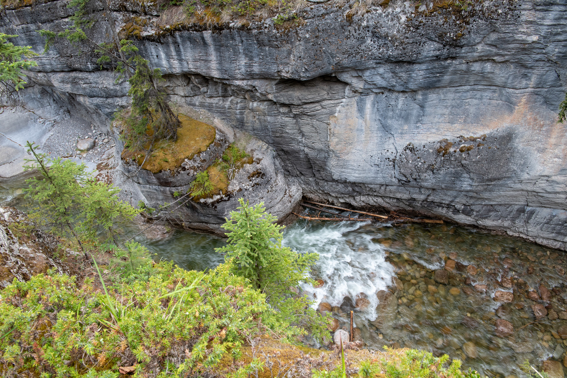 Cañón Maligne (Maligne canyon)