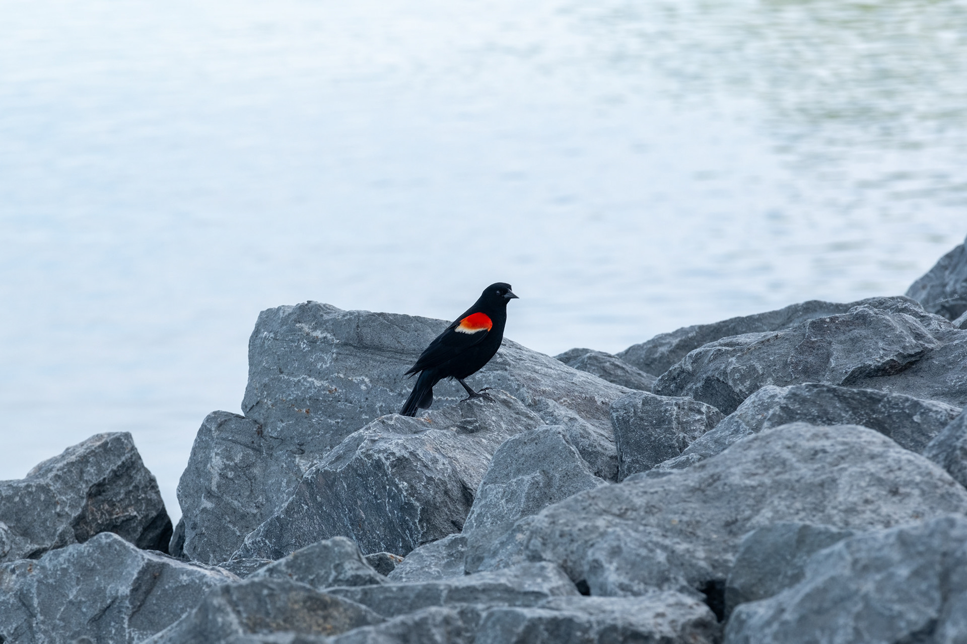 Puente Samuel De Champlain