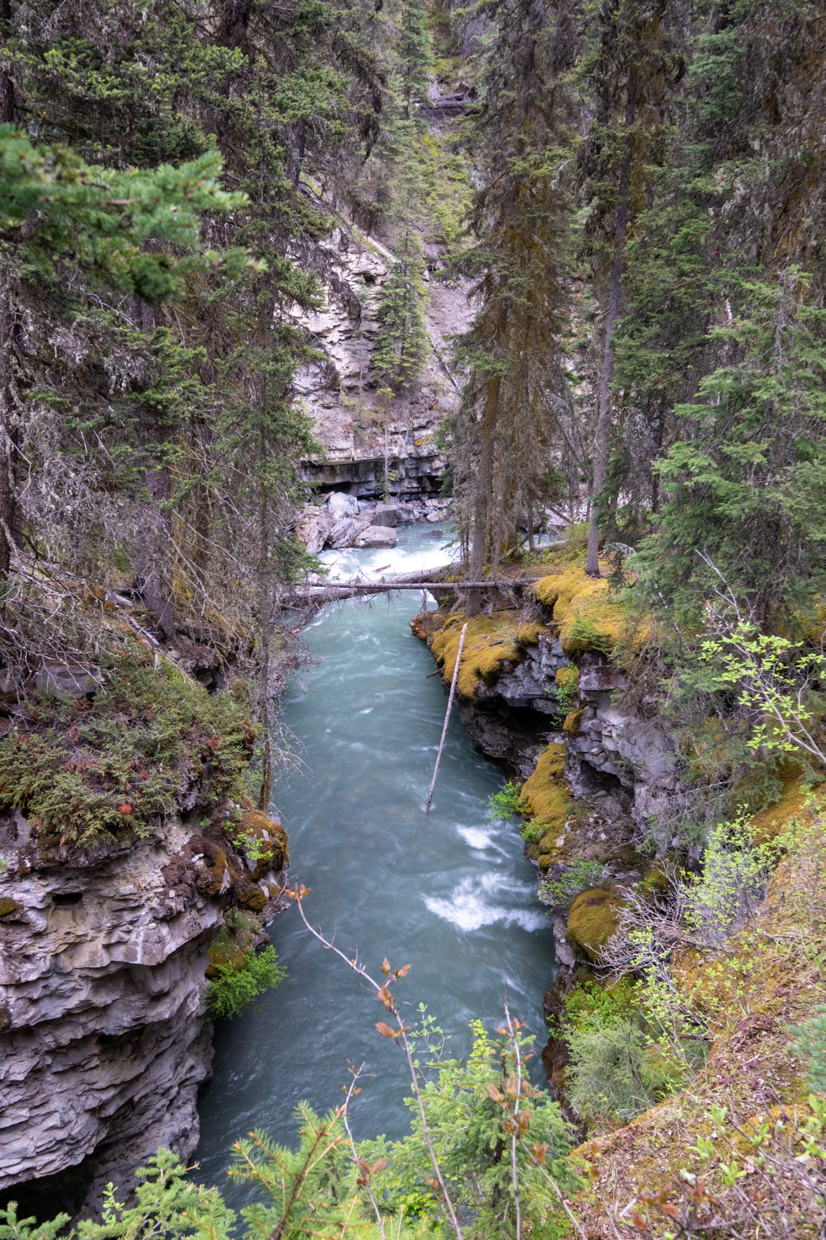 Johnston Canyon