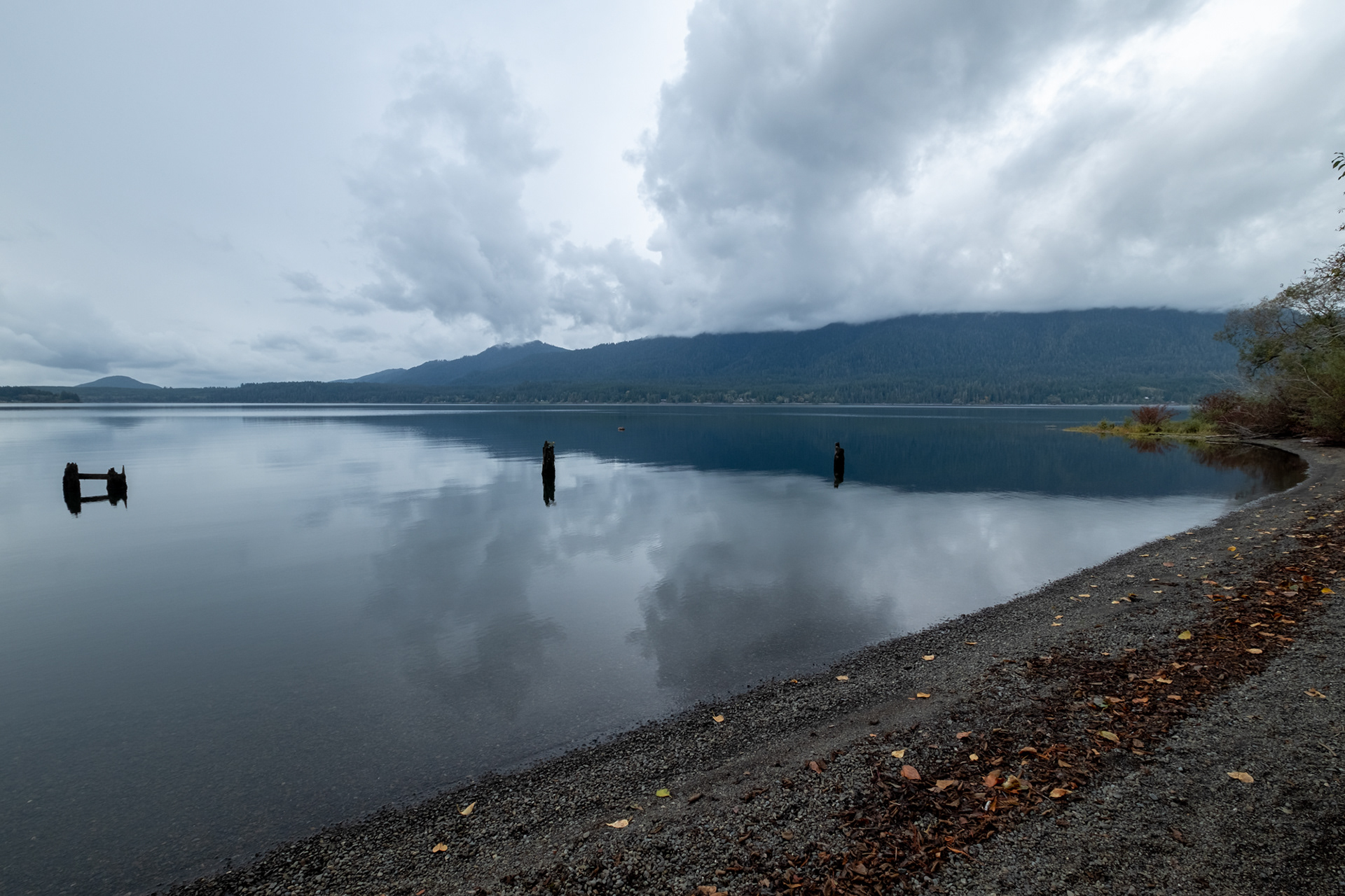 Lago Quinault - Olympic National Park, WA