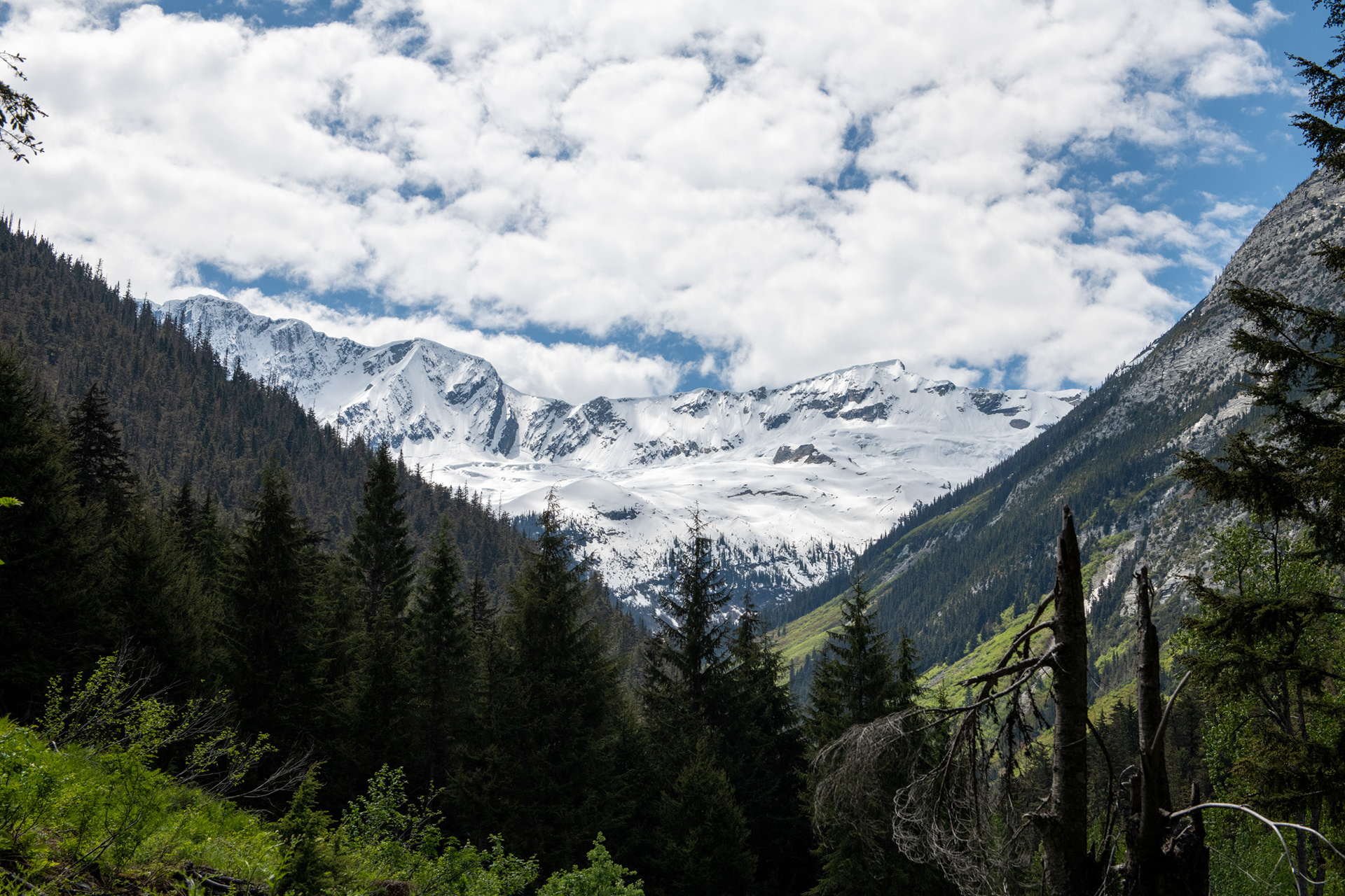 Glacier Nat. Park - "jardín de piedras" (rockgarden)