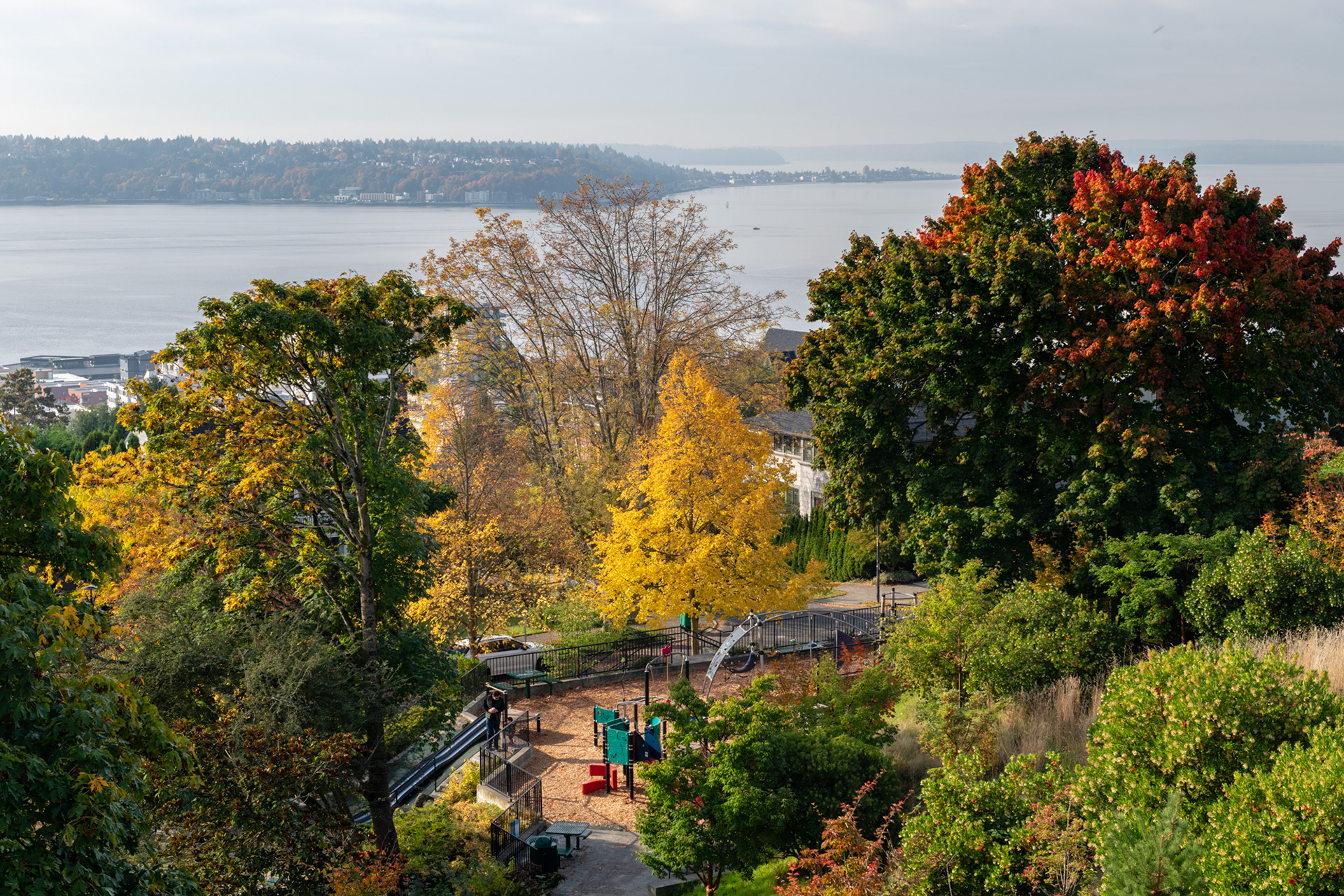 Vista desde el Kerry Park, Seattle