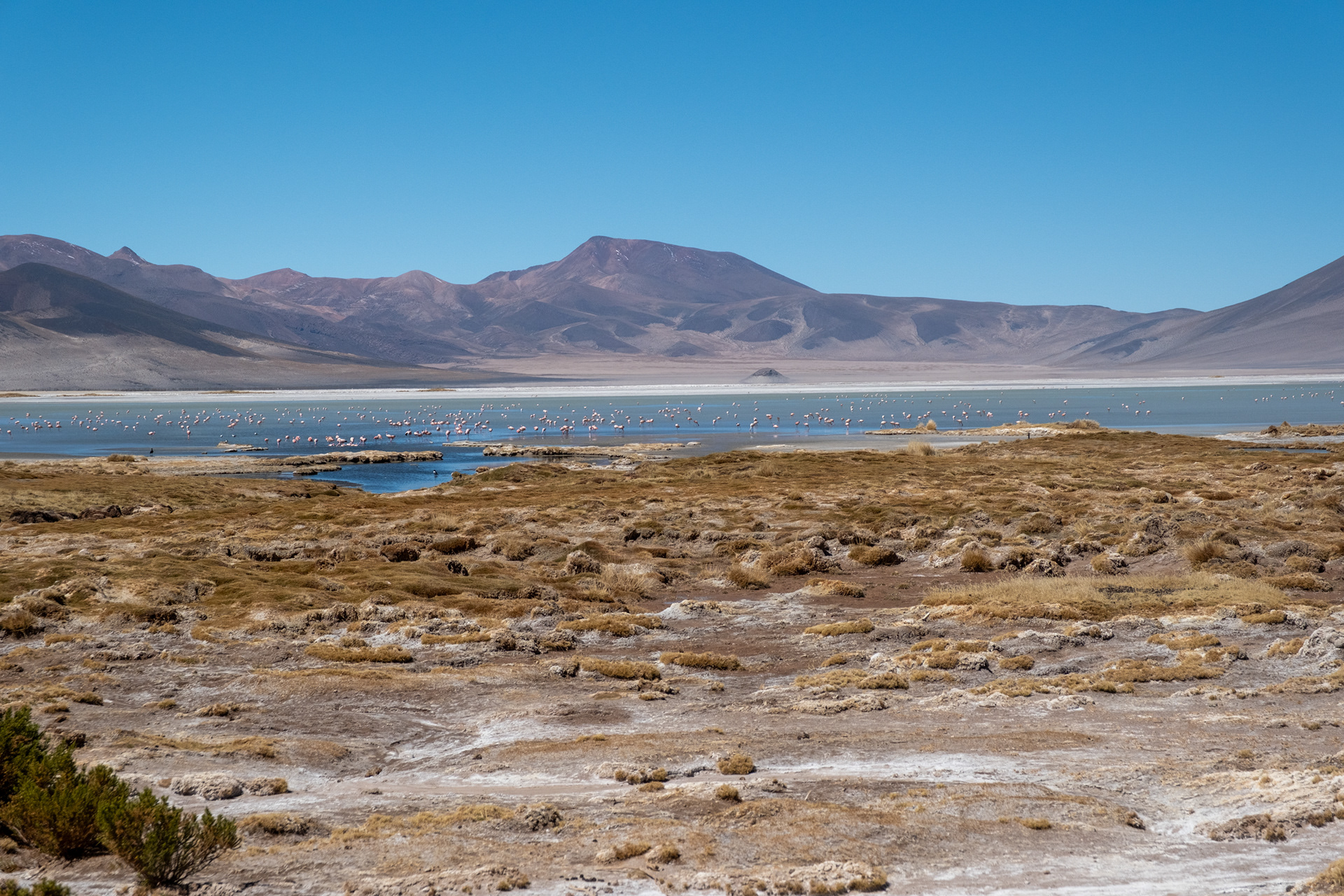 Salar del Huasco