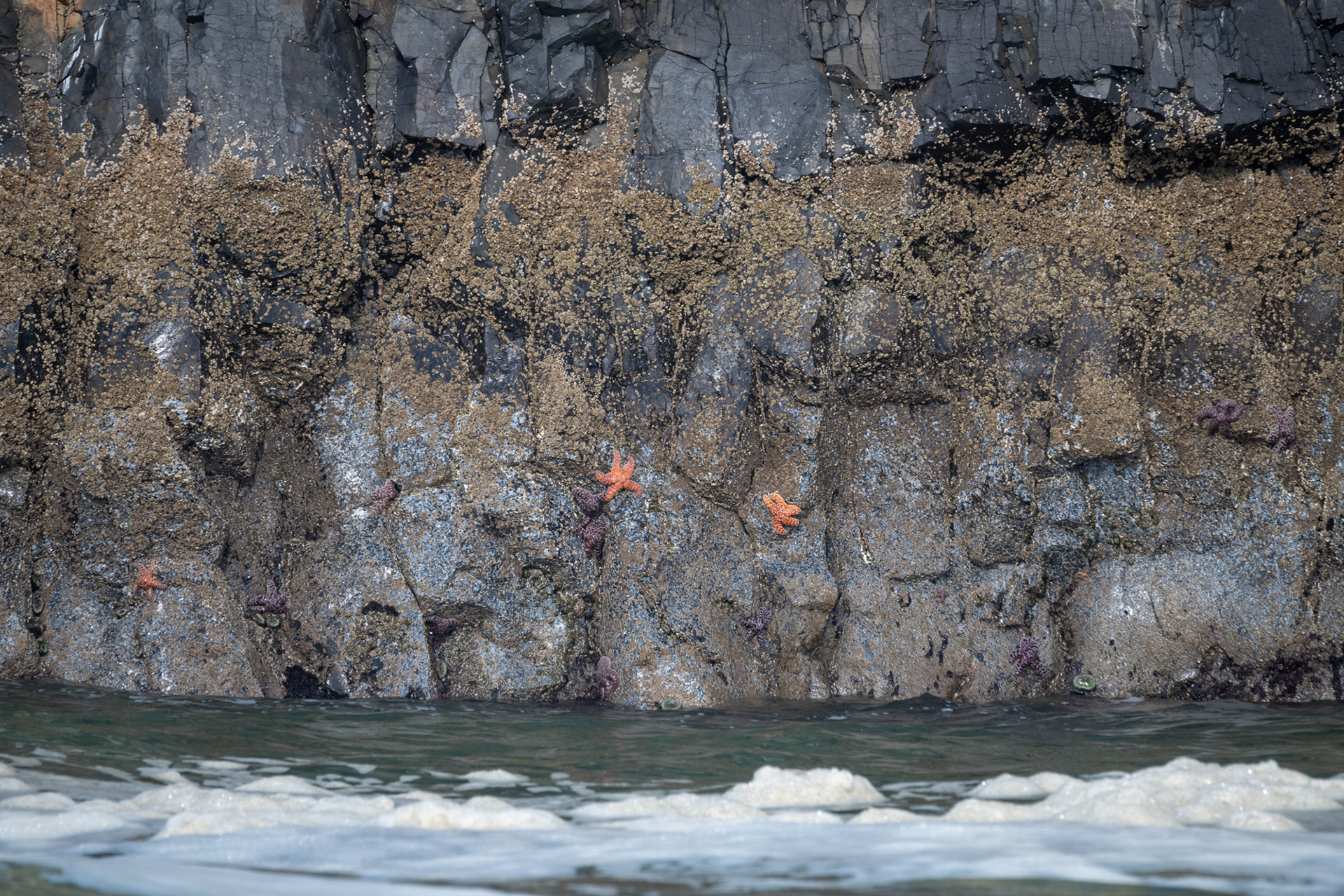 Seal Rock State Recreation Site