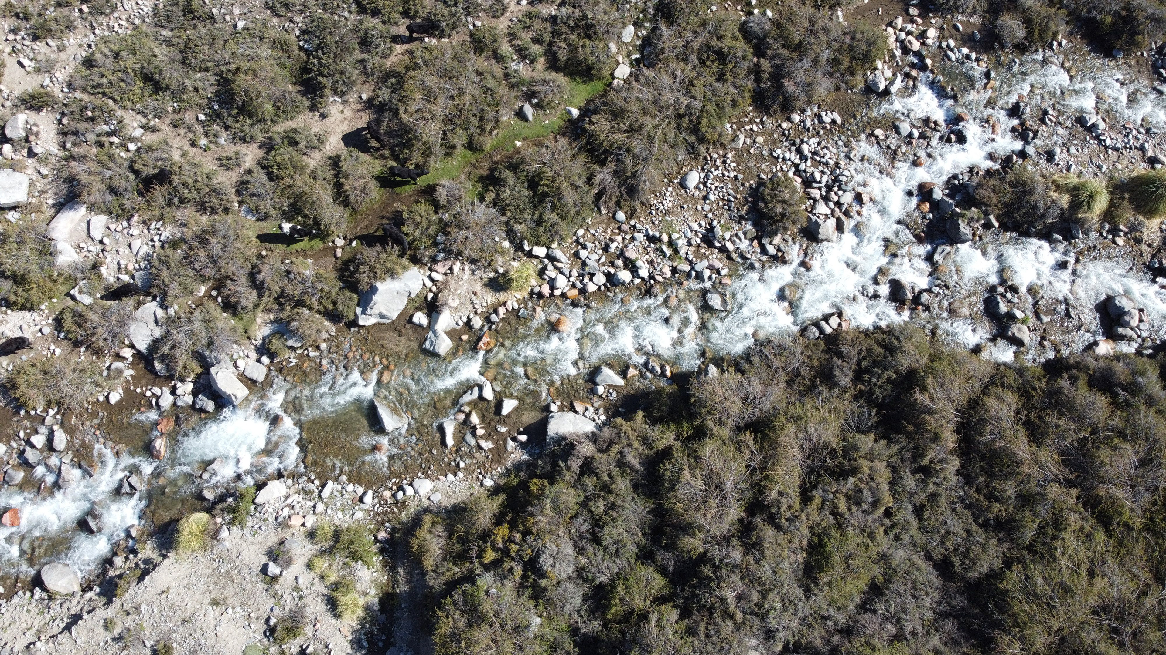 Camino a  el Cajón de Arenales