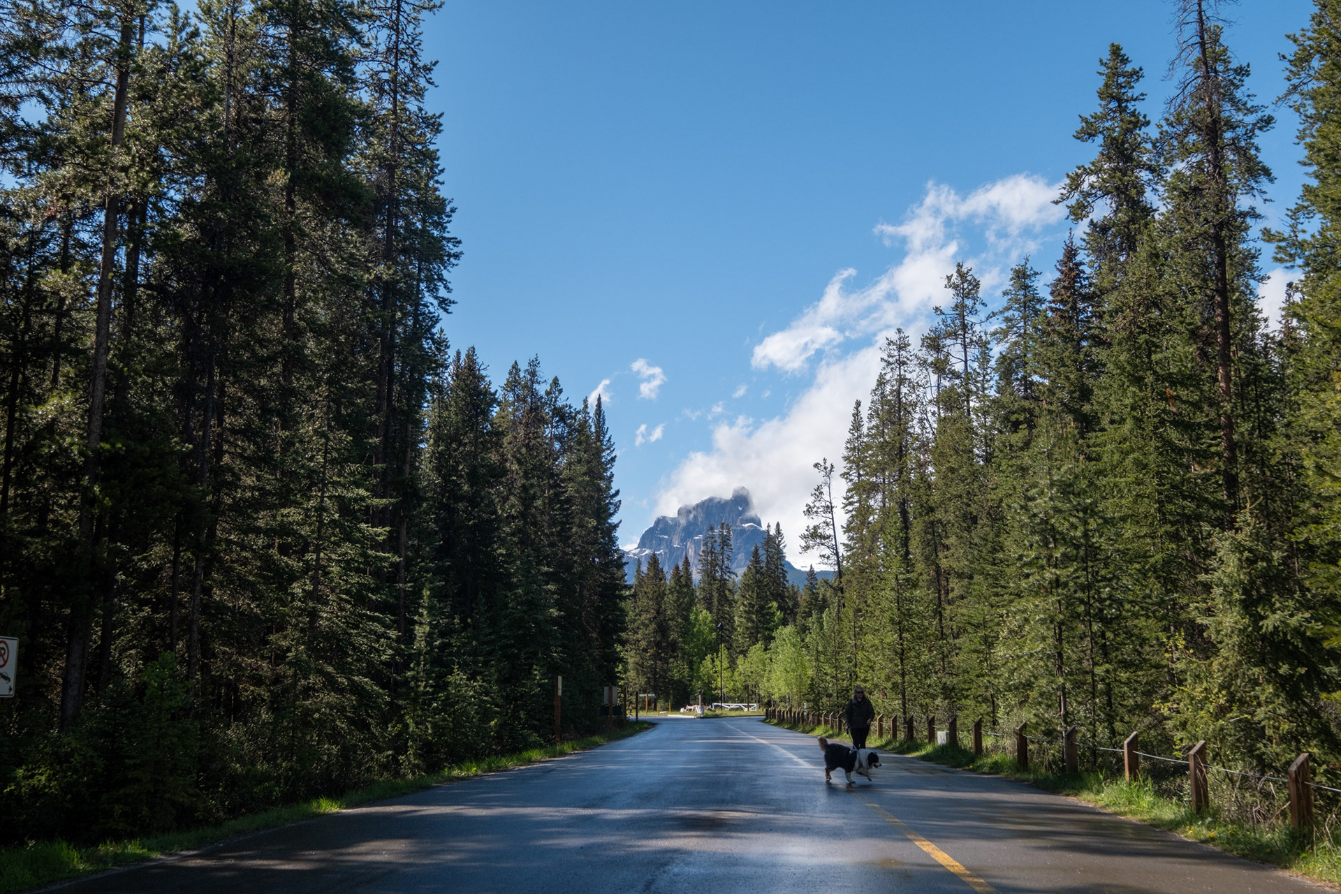 Johnston Canyon