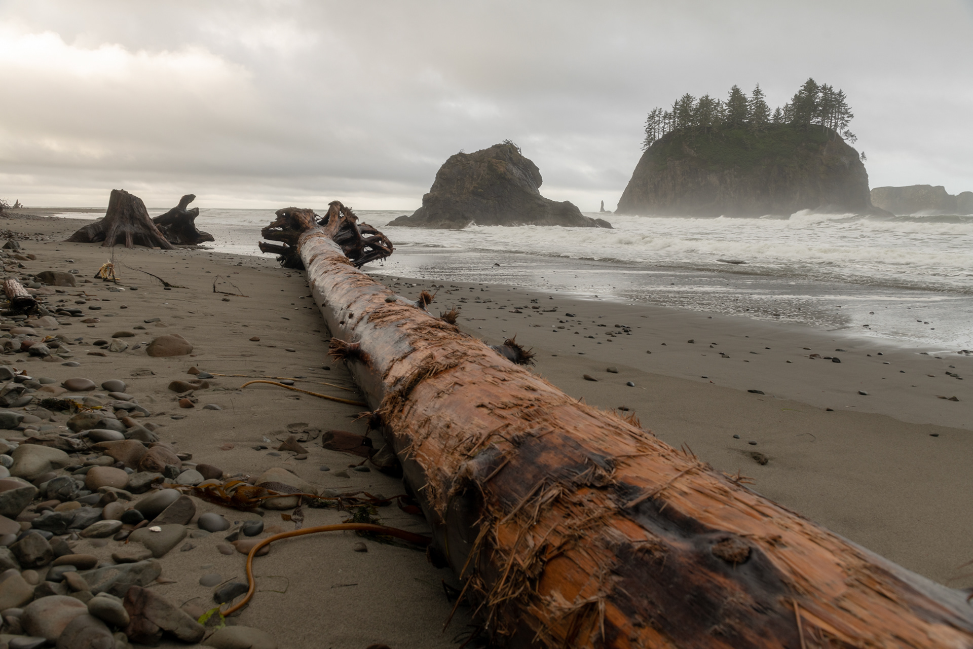 Second Beach, cerca de La Push, WA