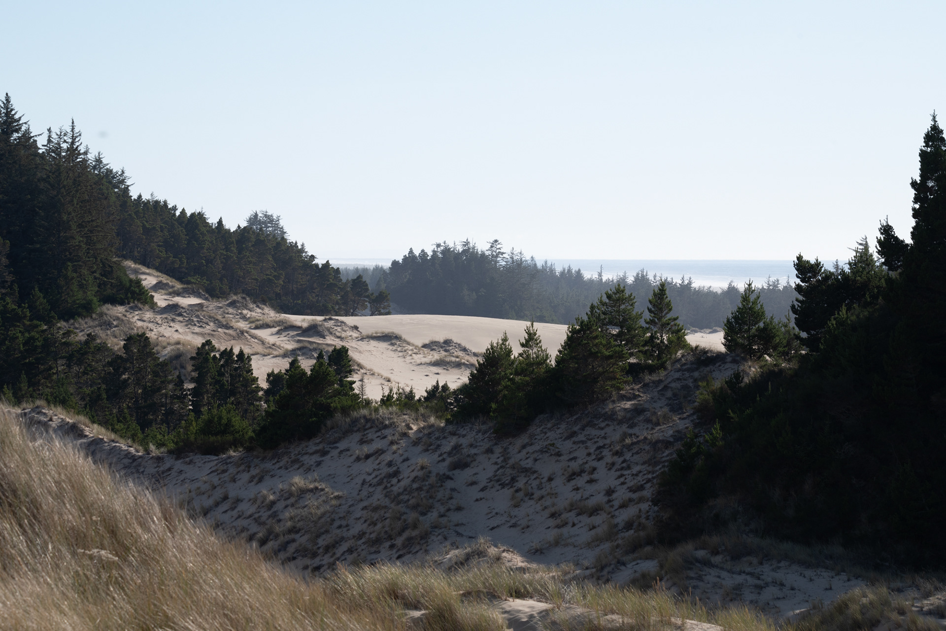 Dunas en la playa Umpqua