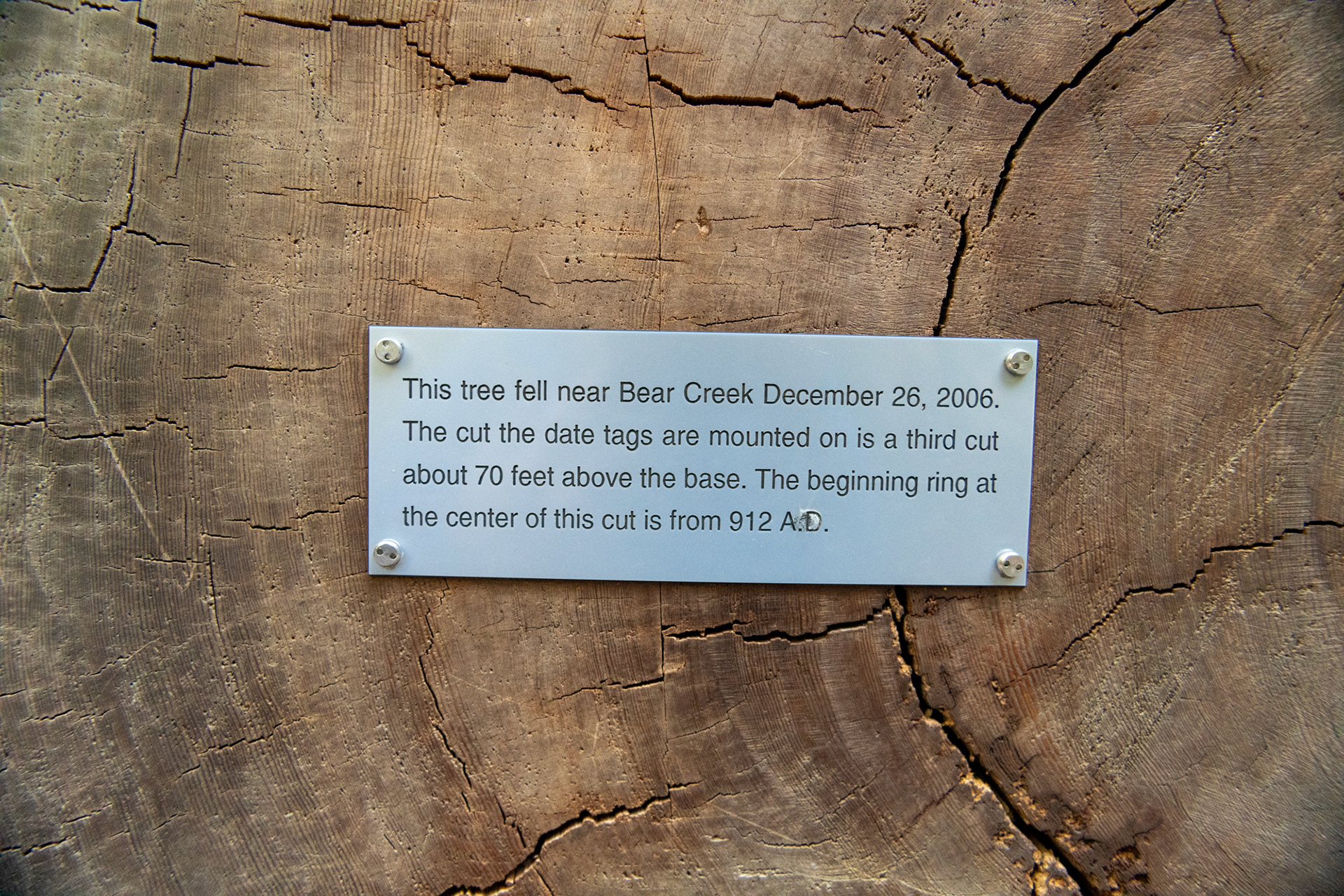  Humboldt Redwoods - Visitor Center - Del 912 al 2006 - 1094 años de edad