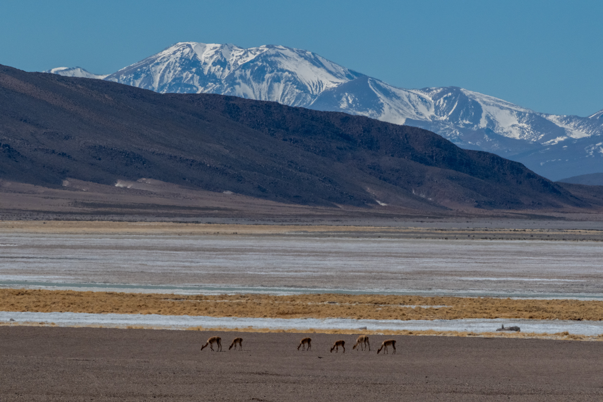 Salar del Huasco