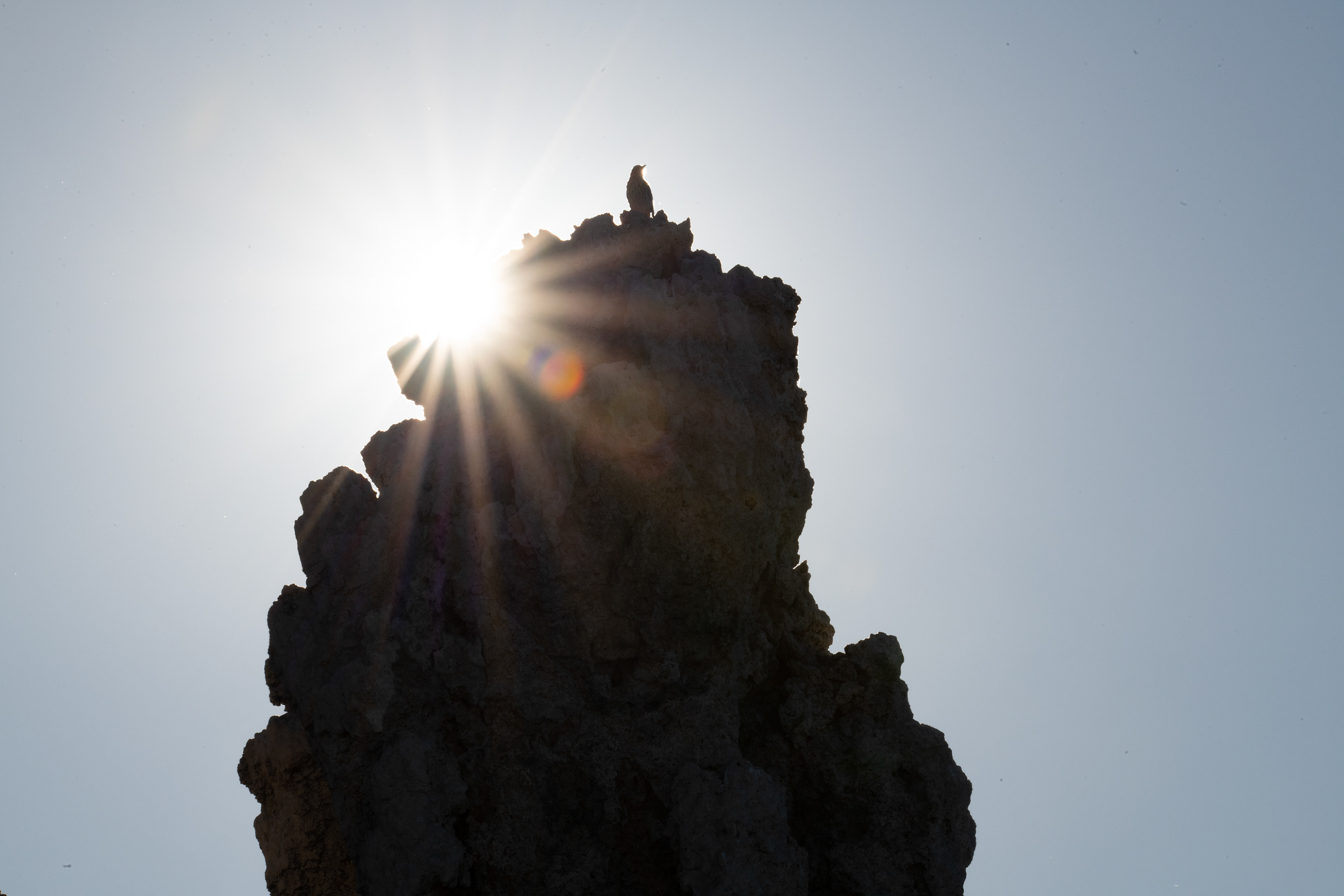 Mono Lake - columnas de toba