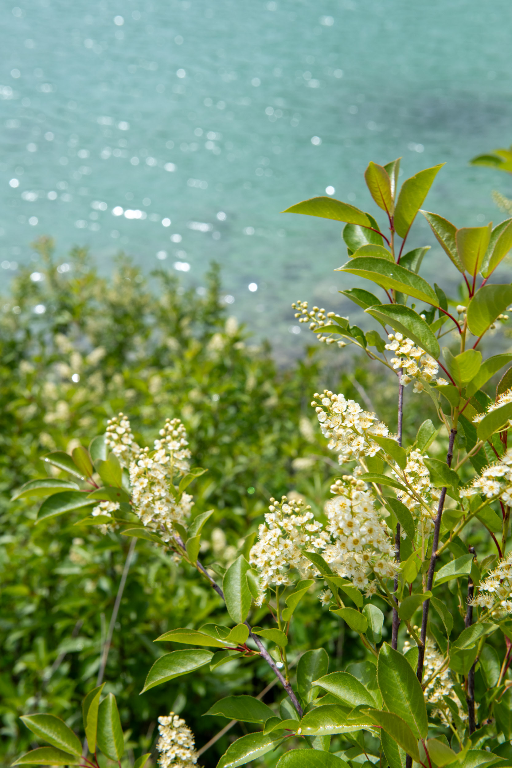 Valle de los 5 lagos - Lago 4
