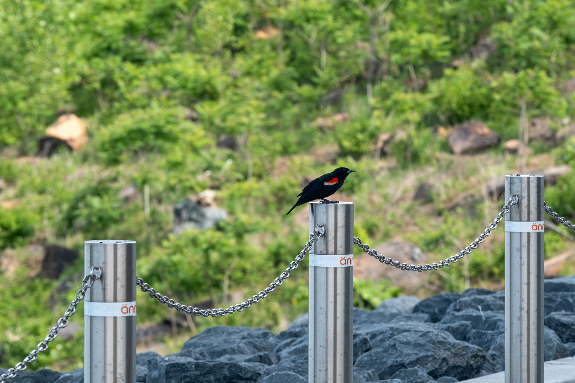 Puente Samuel De Champlain