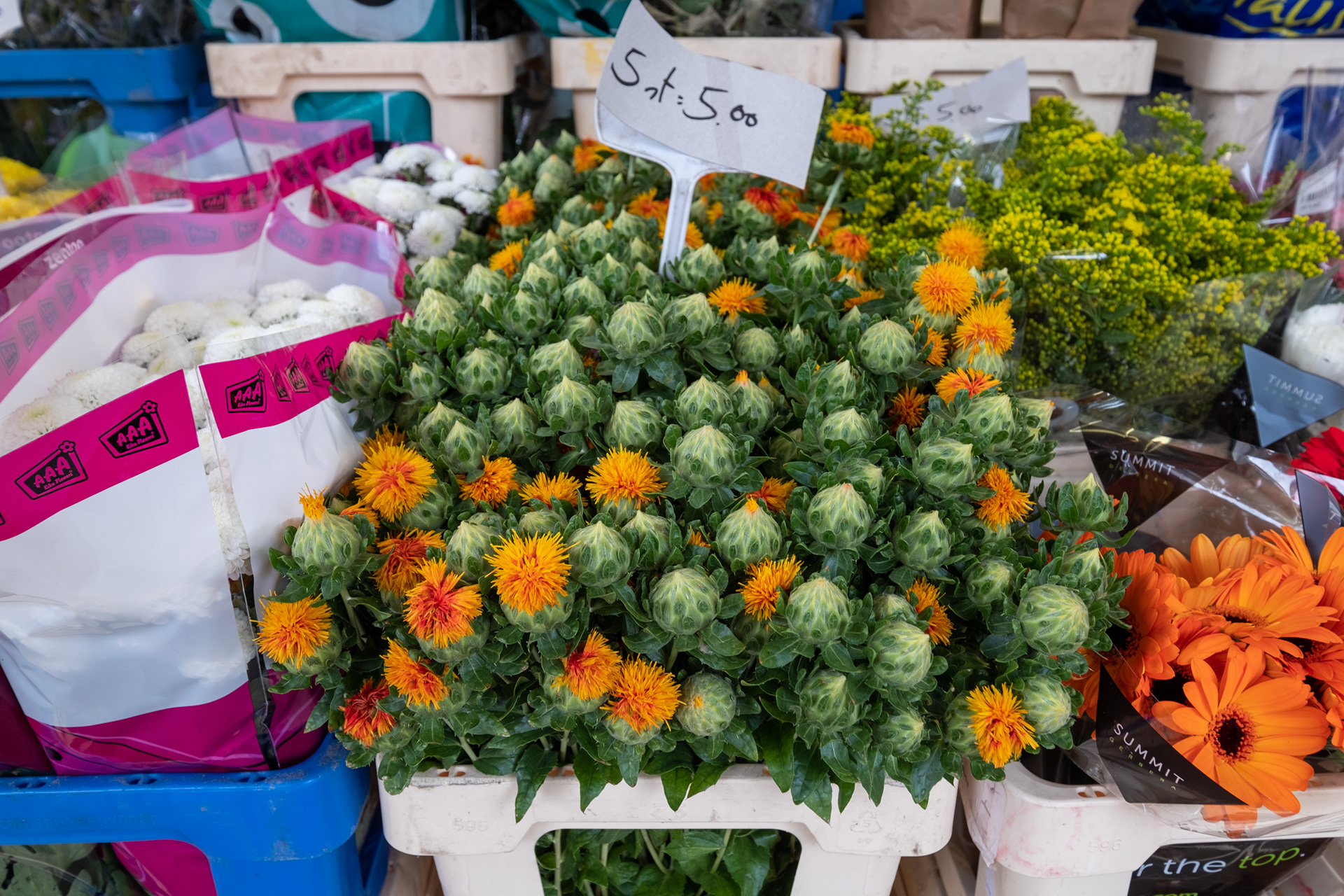 Plaza Kouter y mercado de flores (domingo)