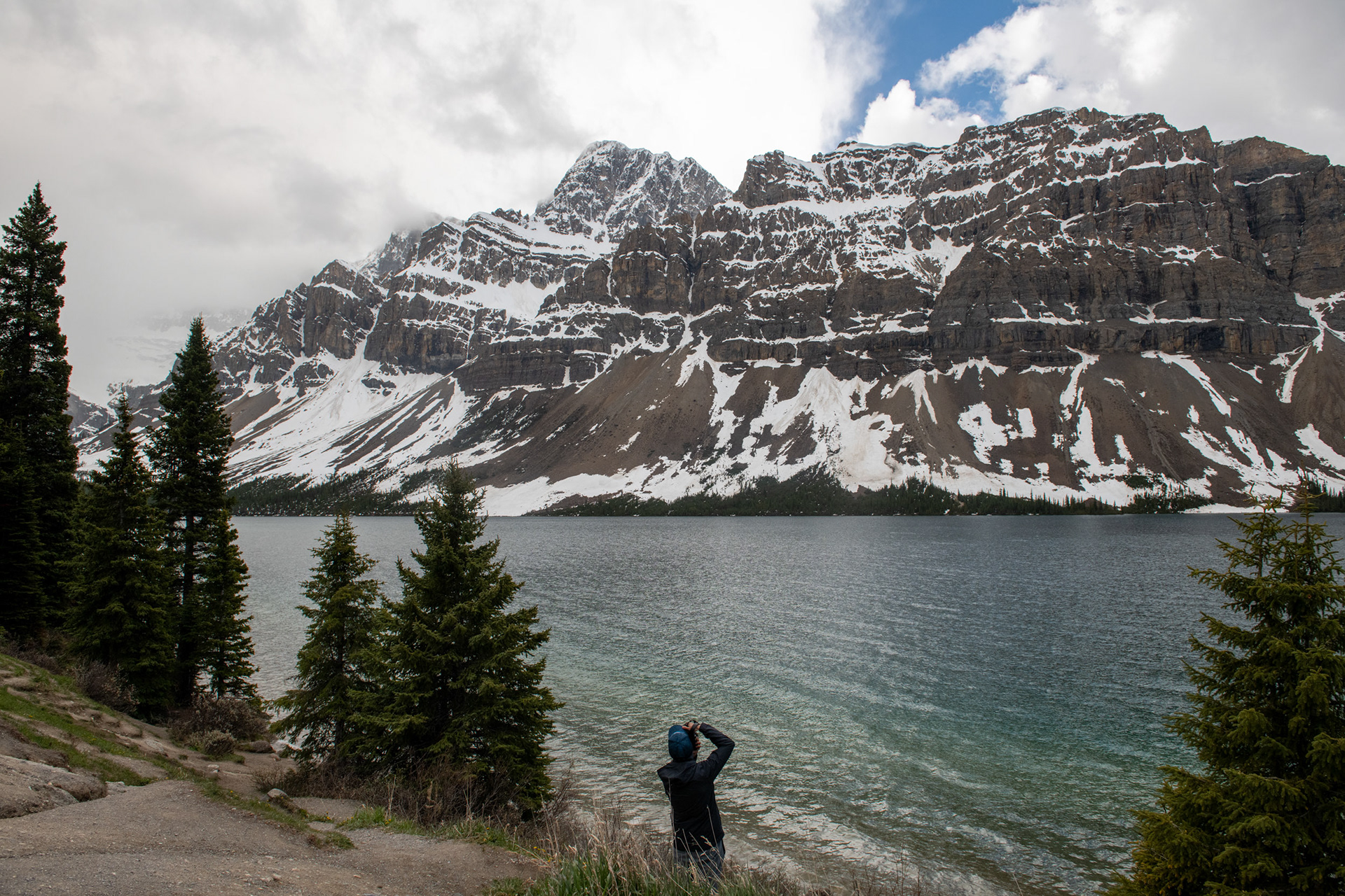 Cruce para fauna, sbore la autopista
