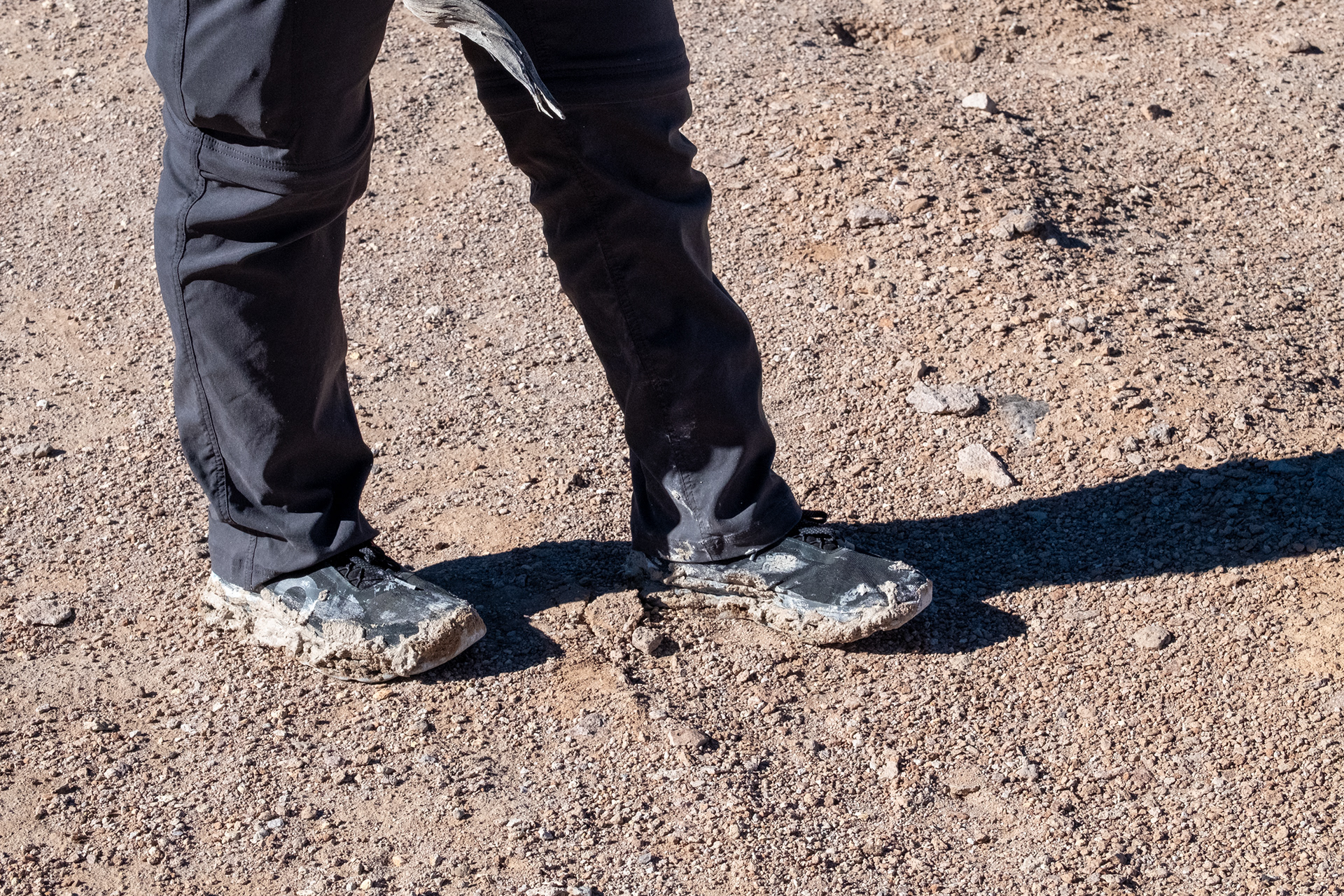 Consecuencias de fotografiar aves lo mas cerca posible - Salar del Huasco