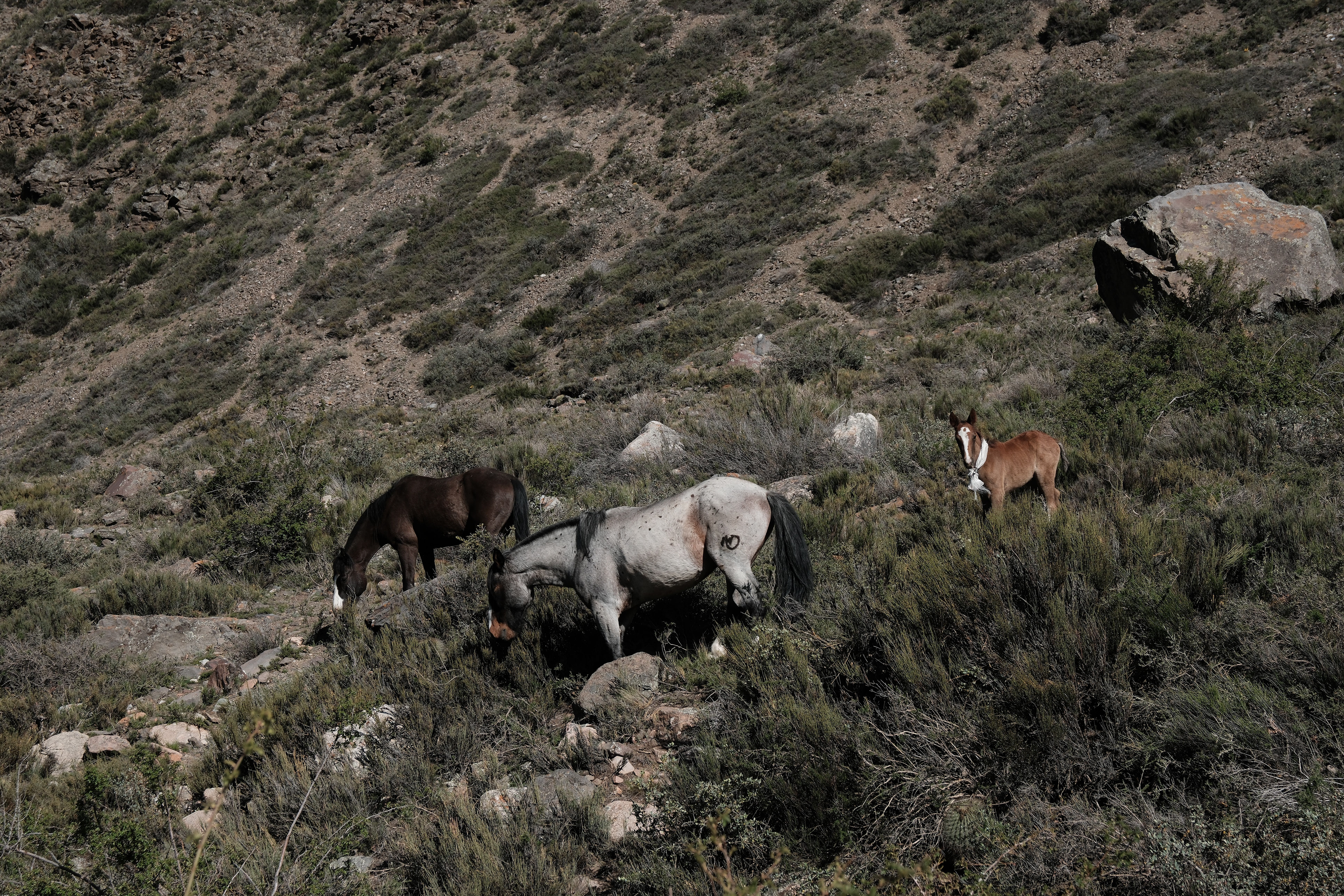 Camino a  el Cajón de Arenales