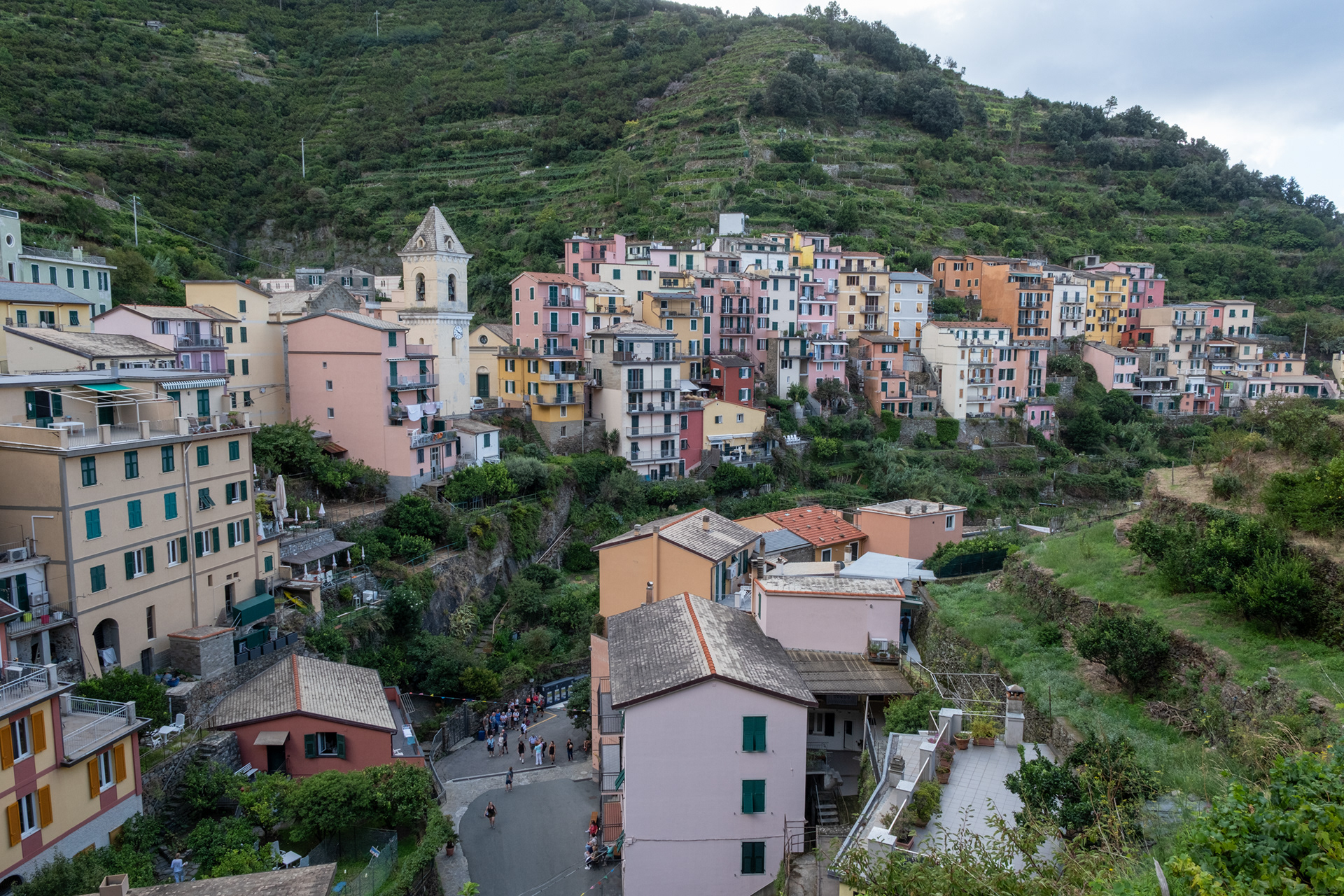 Manarola