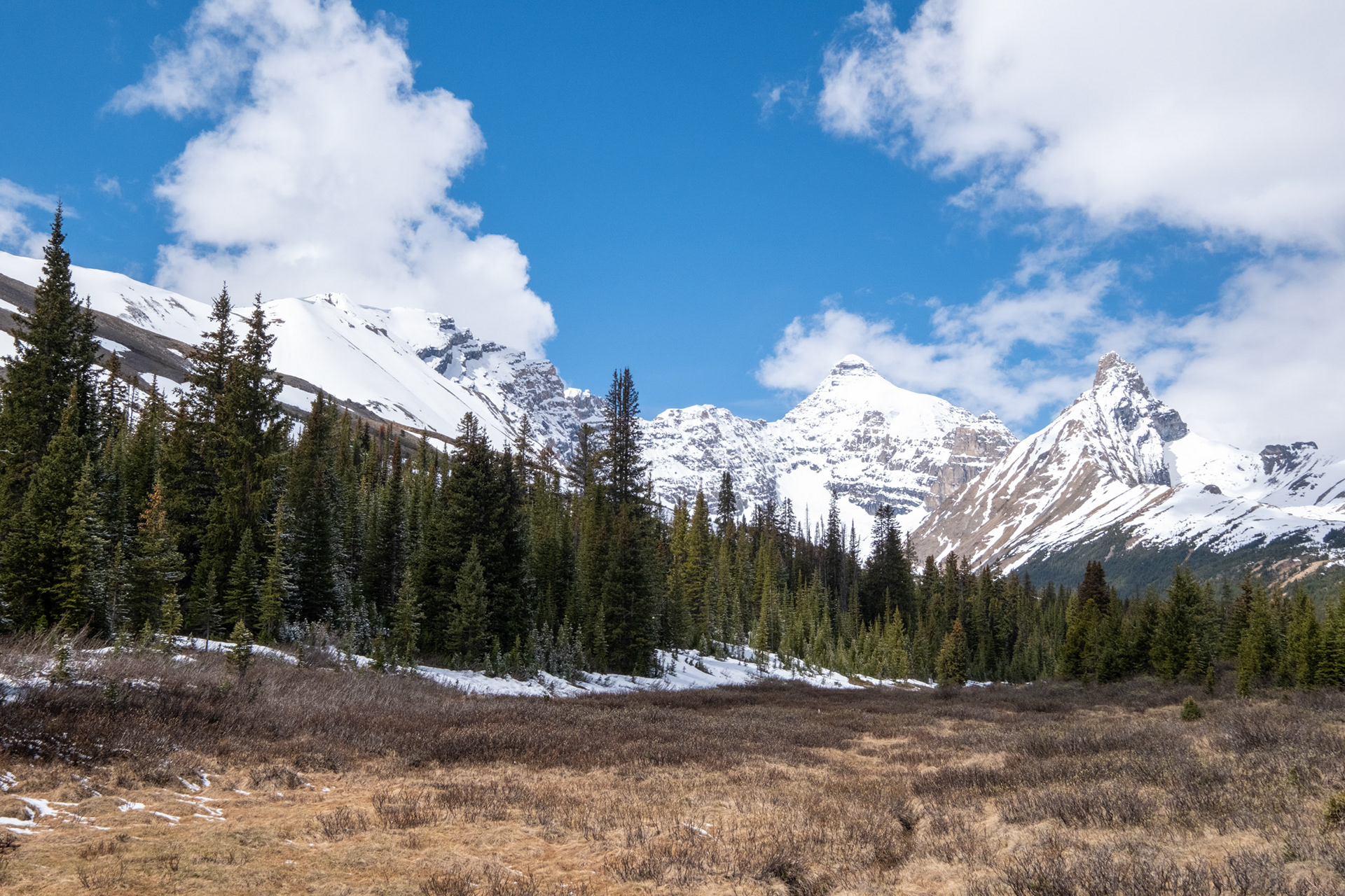 Nevó durante la noche