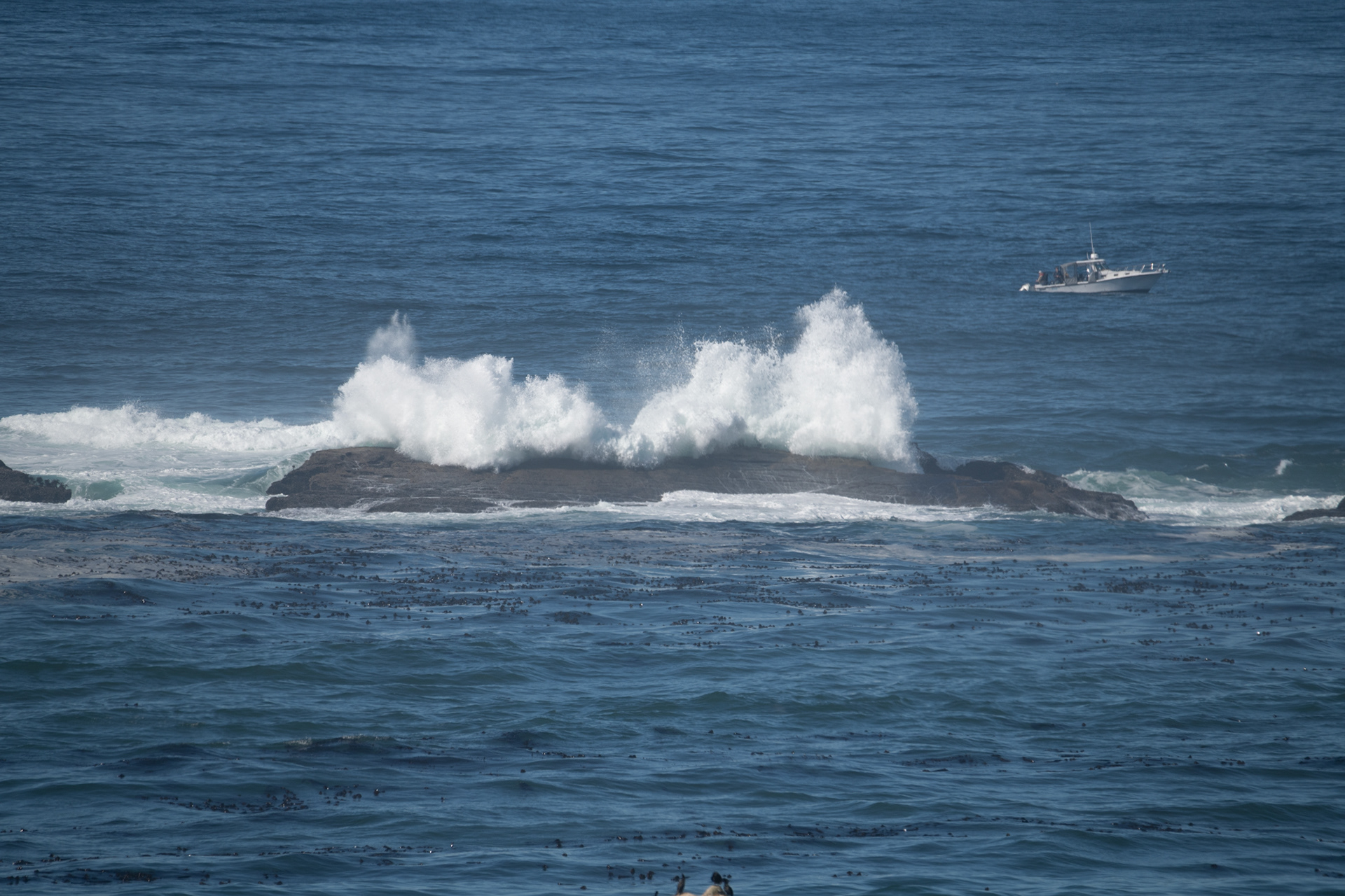 Shore Acres State Park