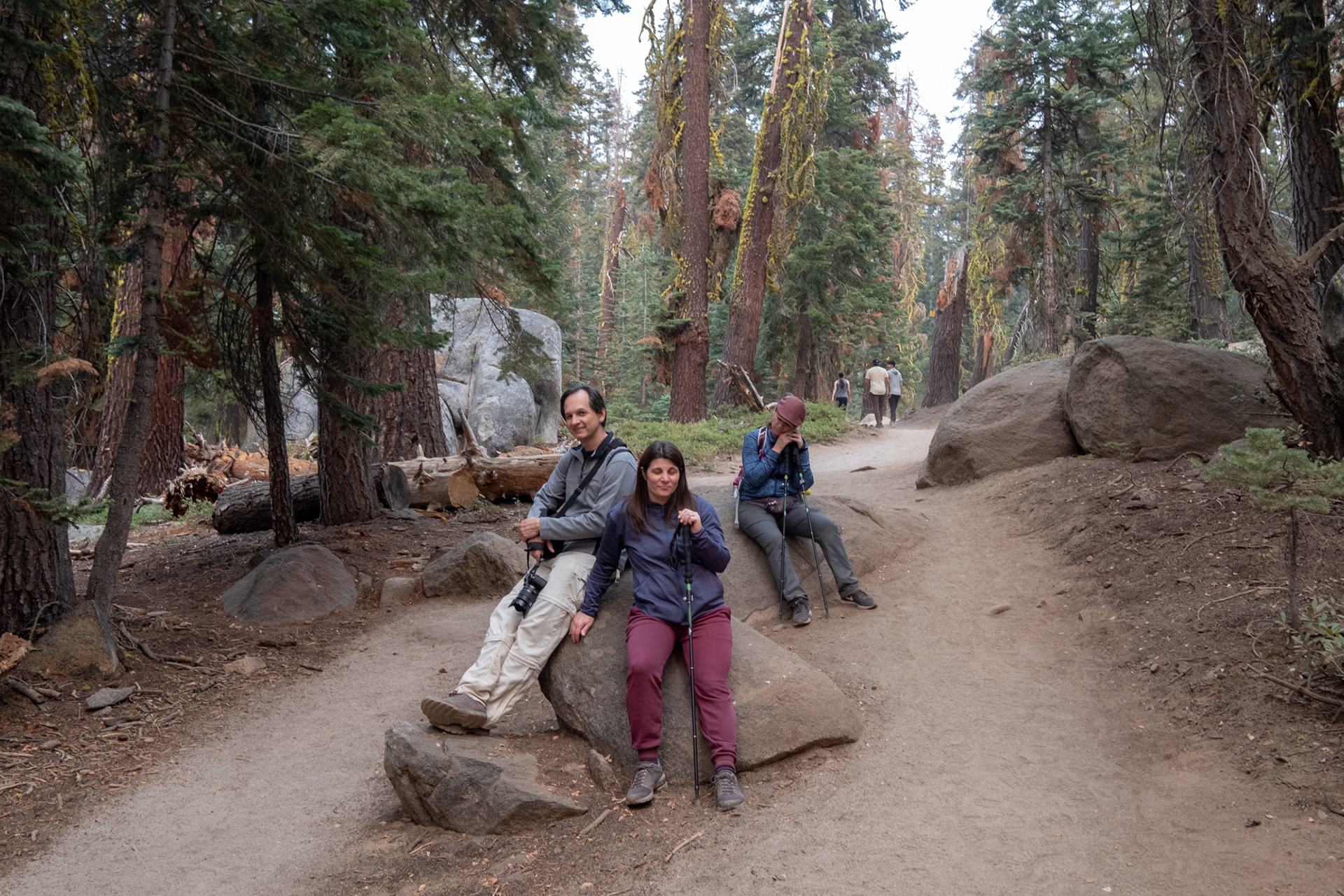 Yosemite - Trillo hacia Taft Point