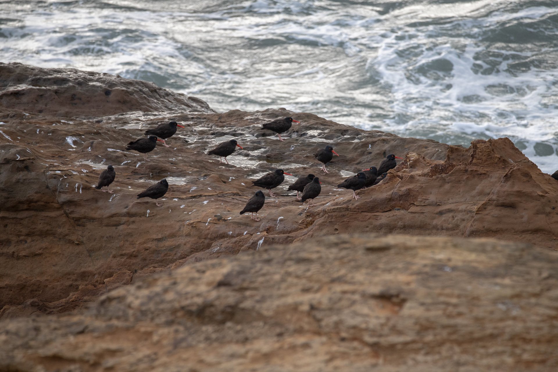 Área natural estatal Devils Punch Bowl, OR