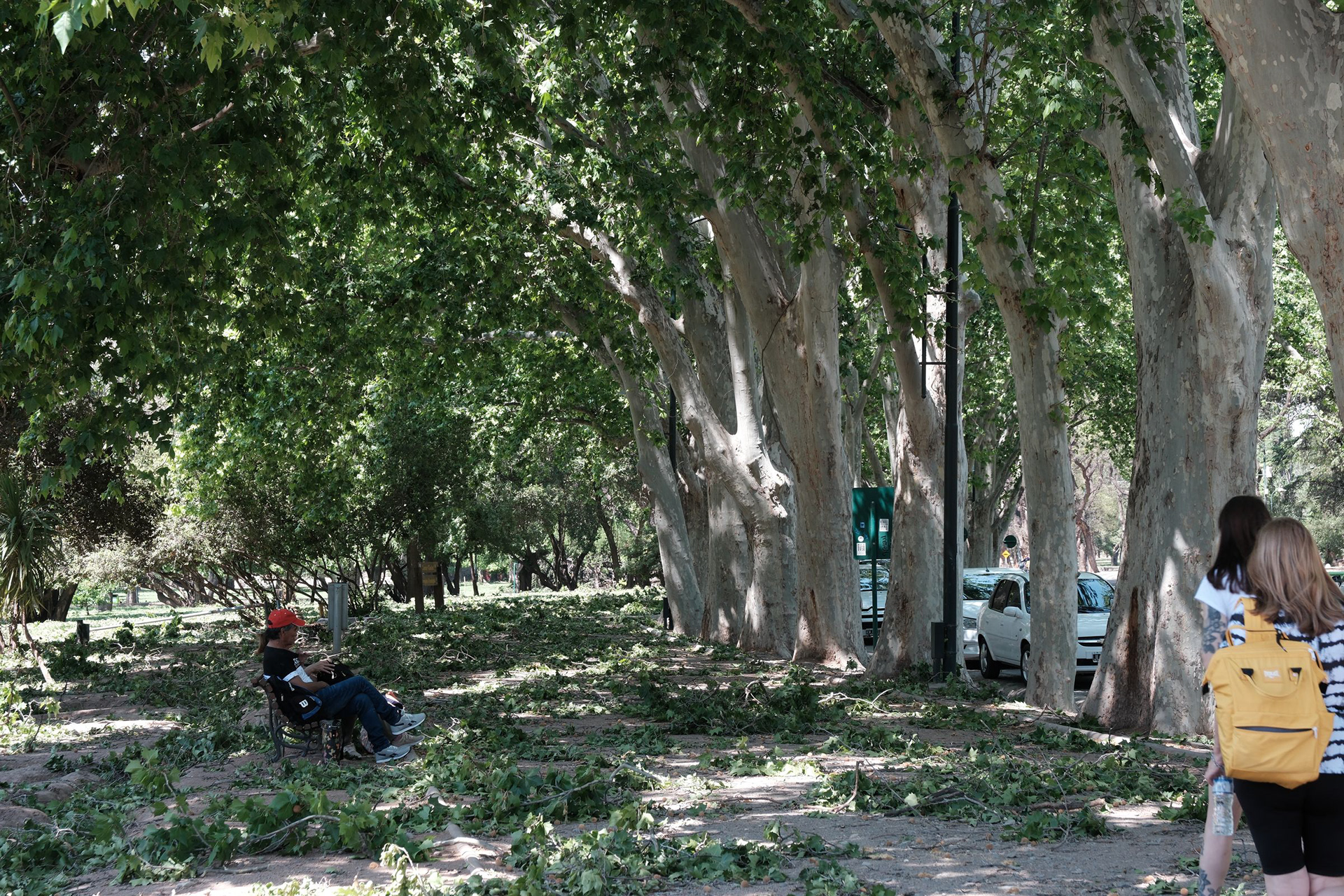 Parque General San Martin
