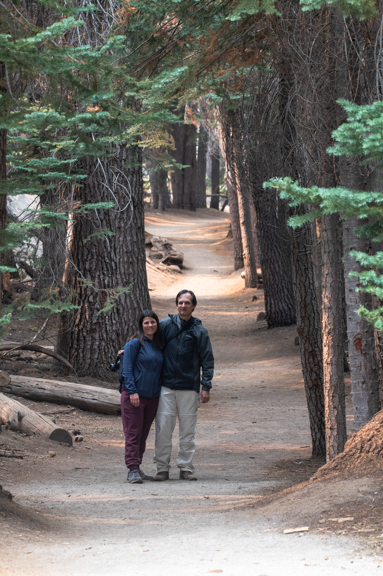 Yosemite - Trillo hacia Taft Point