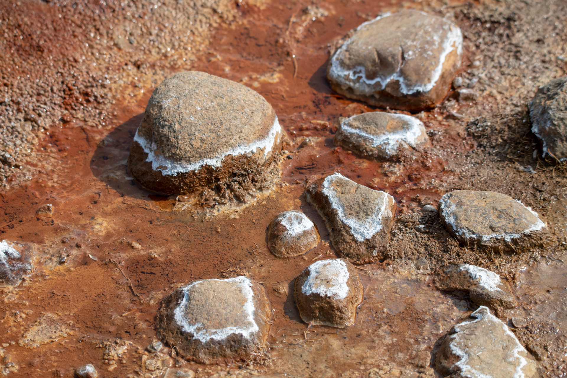 Yosemite - Soda Spring (agua con burbujitas) - Tuolumne Meadows