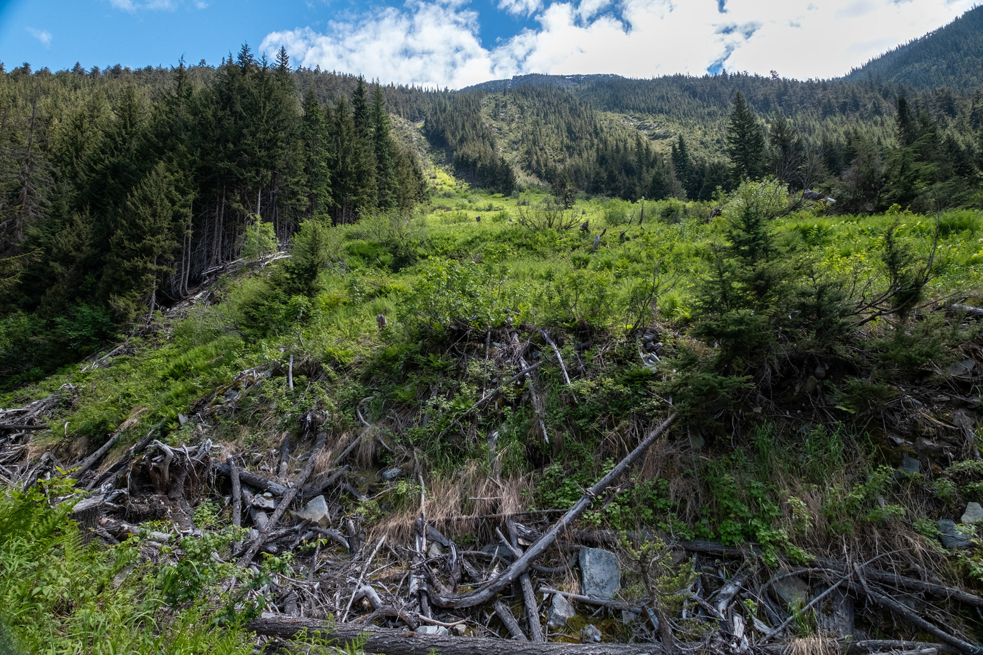Glacier Nat. Park - bucle Brook - via abandonada del tren