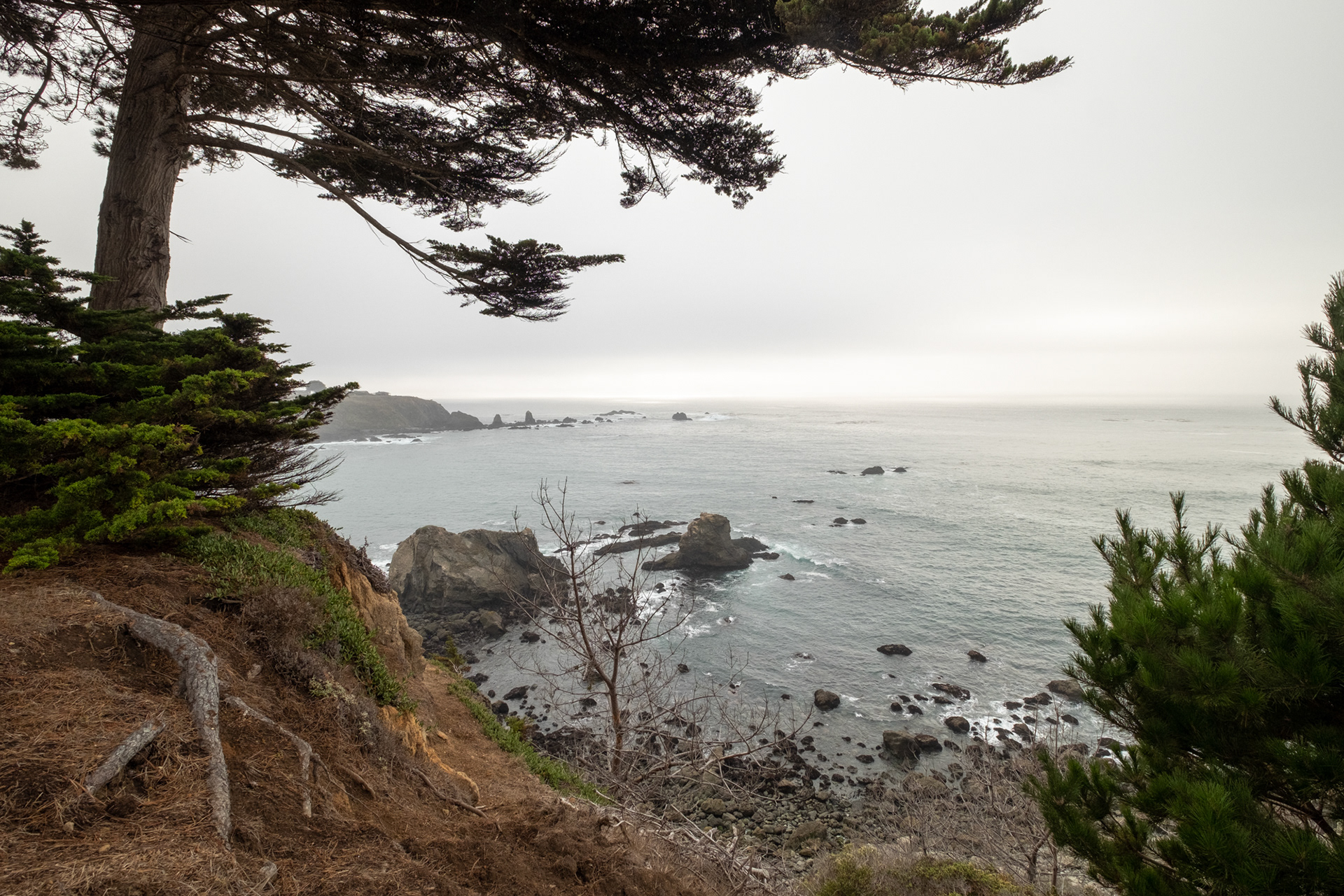 Costa de California, cerca de Mendocino
