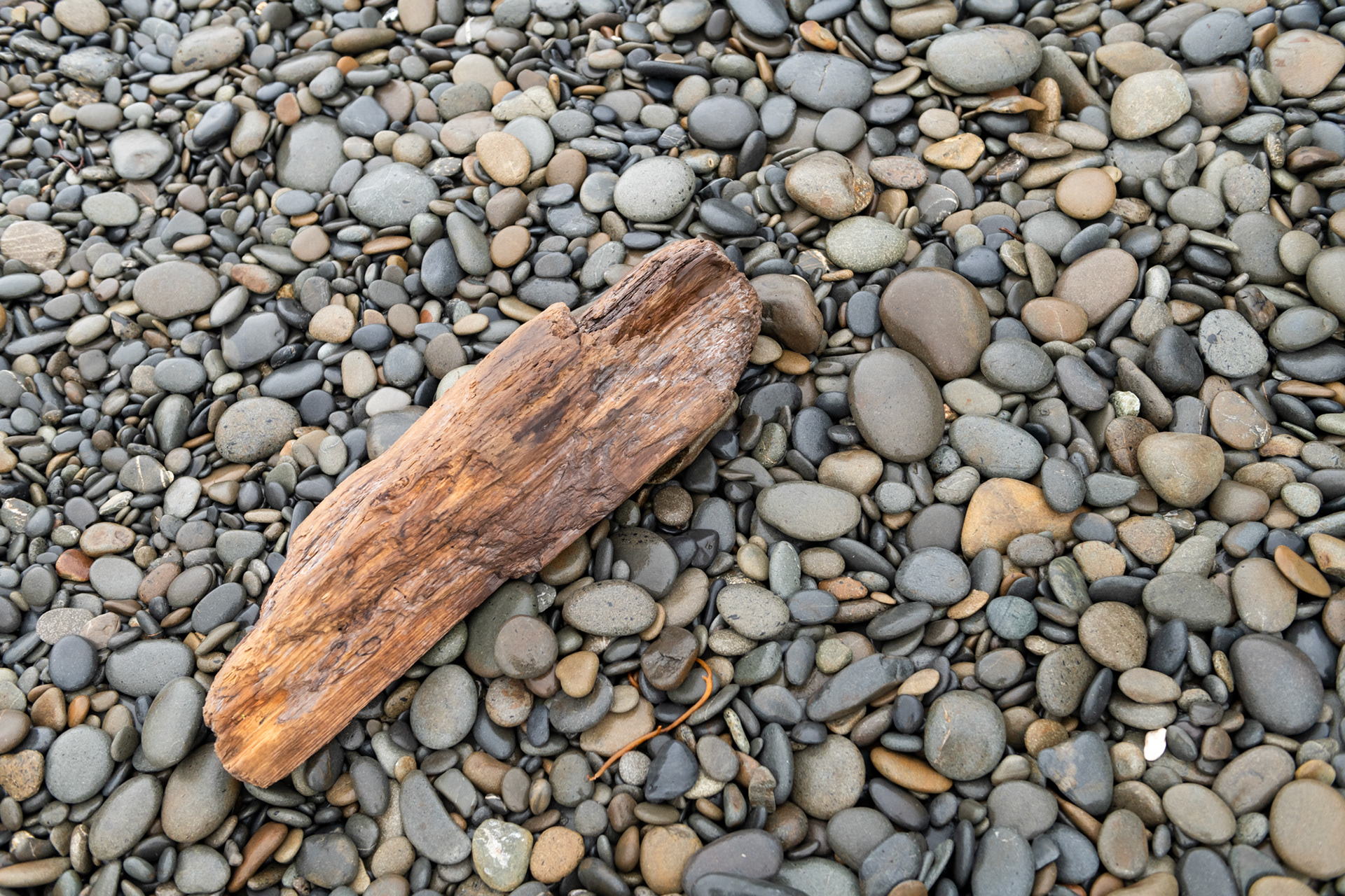 Ruby Beach - Kalaloch - Cedar creek