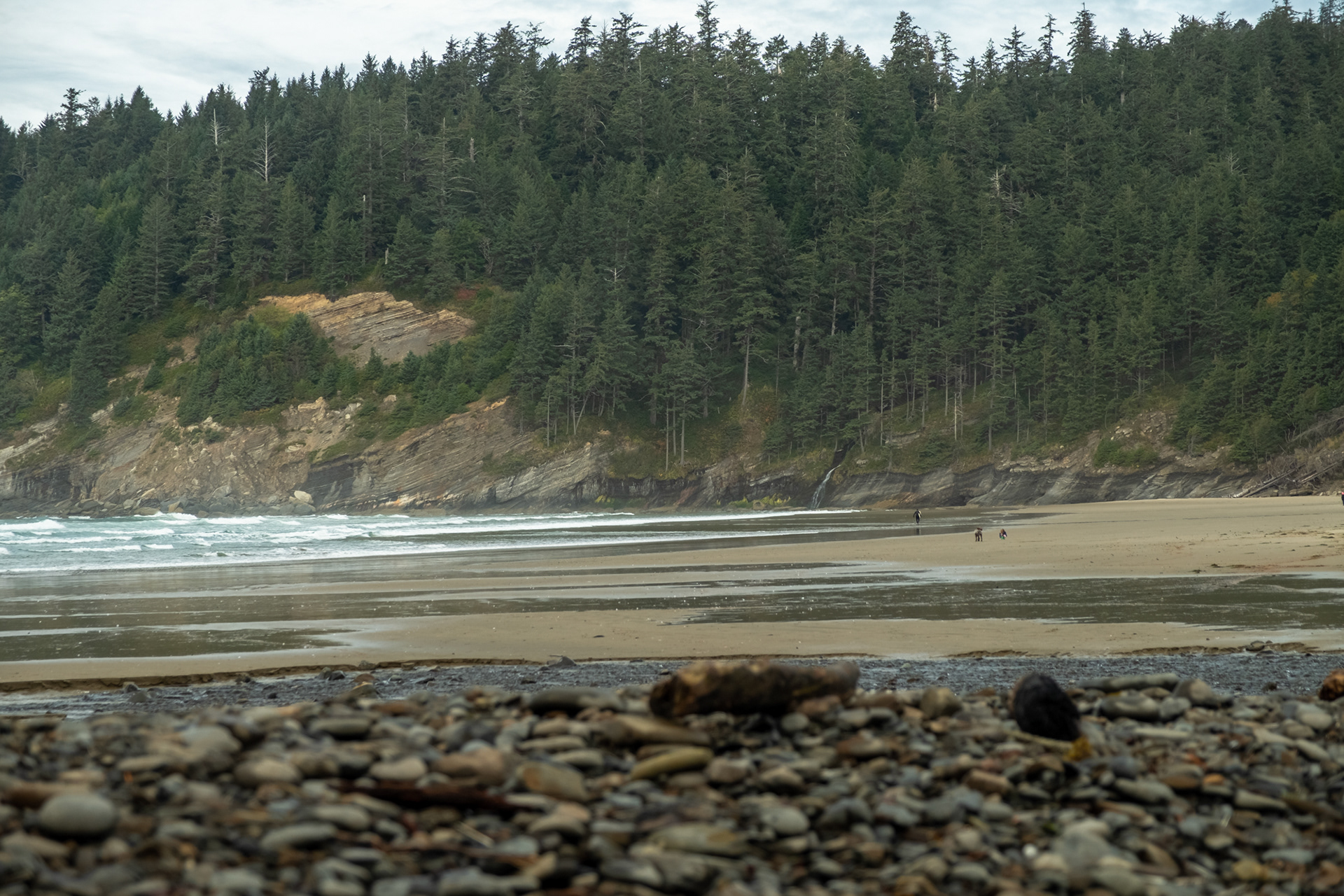 Short Sand Beach - Oswald West State Park