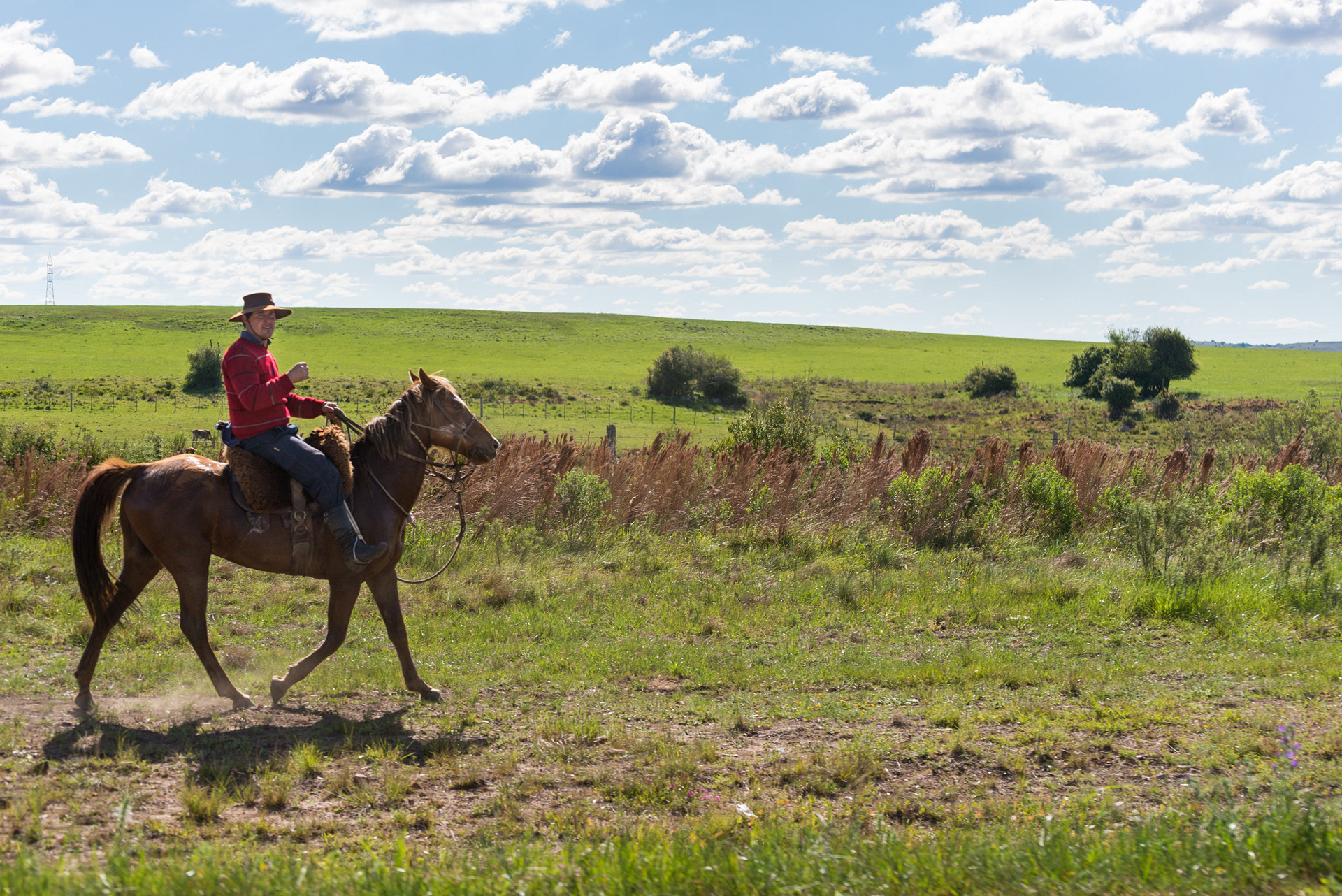 Hellooo!!! - A "paisano" greets next to the road while leads the cattle to his land. Tacuarembo, Uruguay.