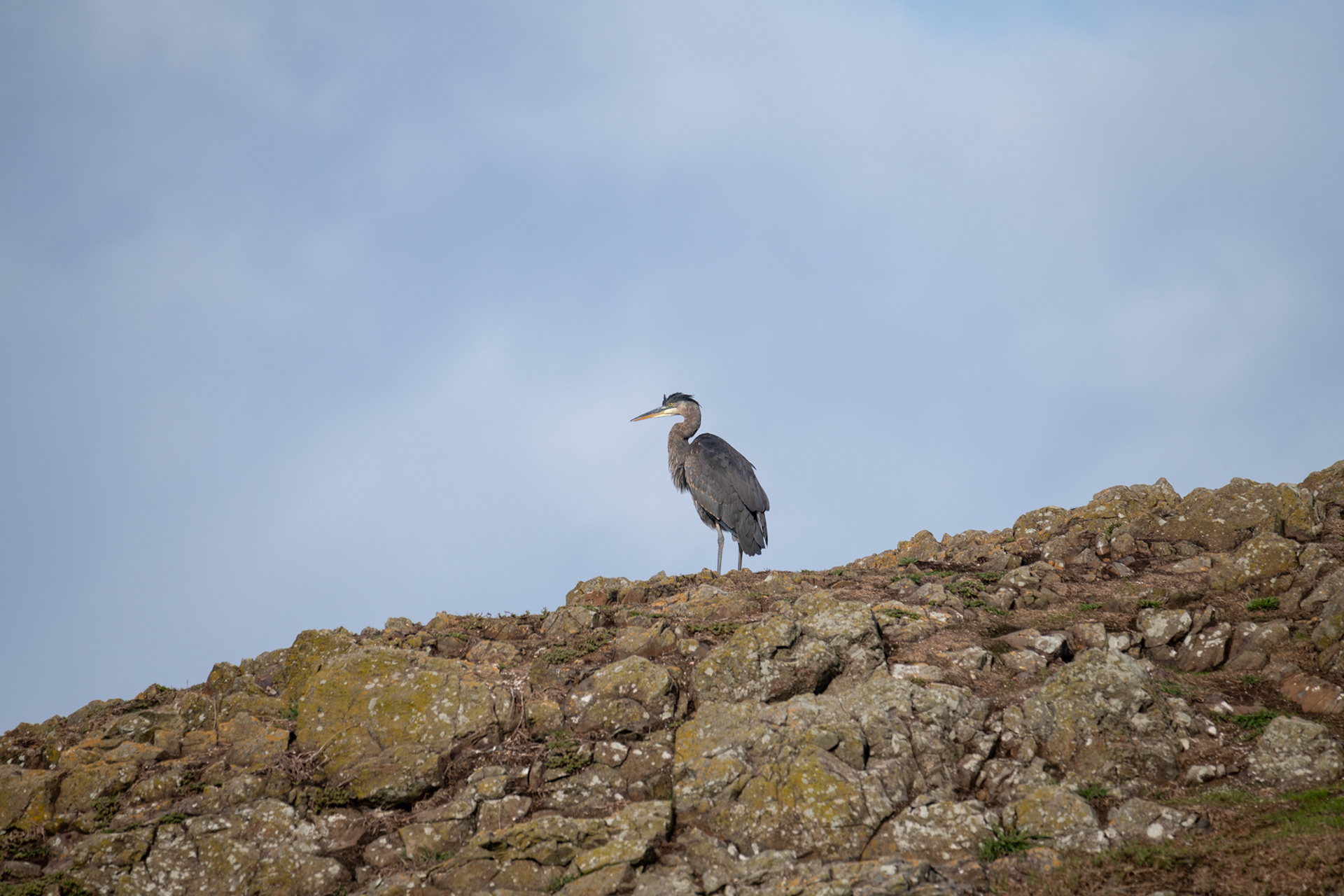 Seal Rock State Recreation Site