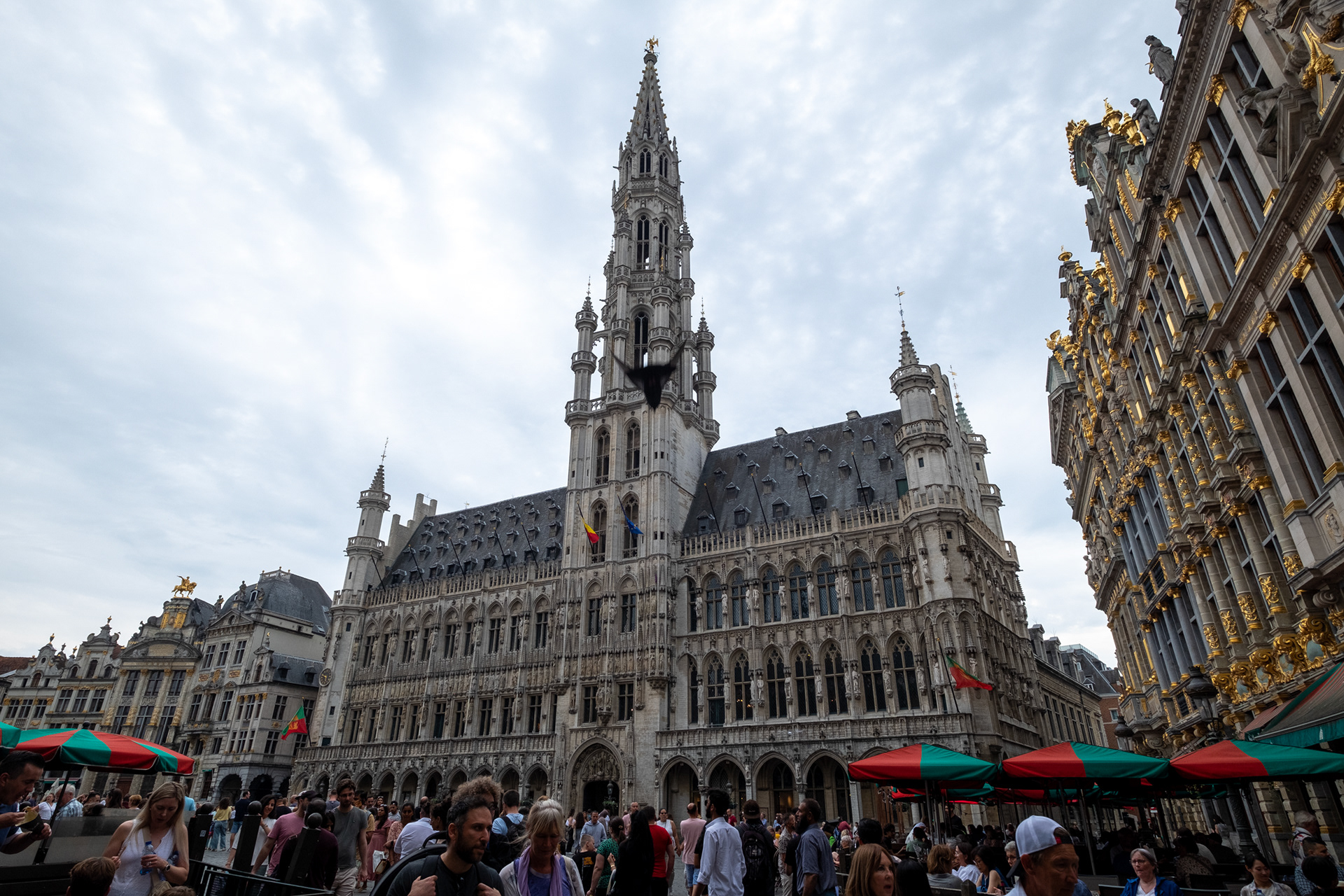 Bruselas - Grand-place, rodeada por casas de los gremios, el ayuntamiento y la Maison du Roi