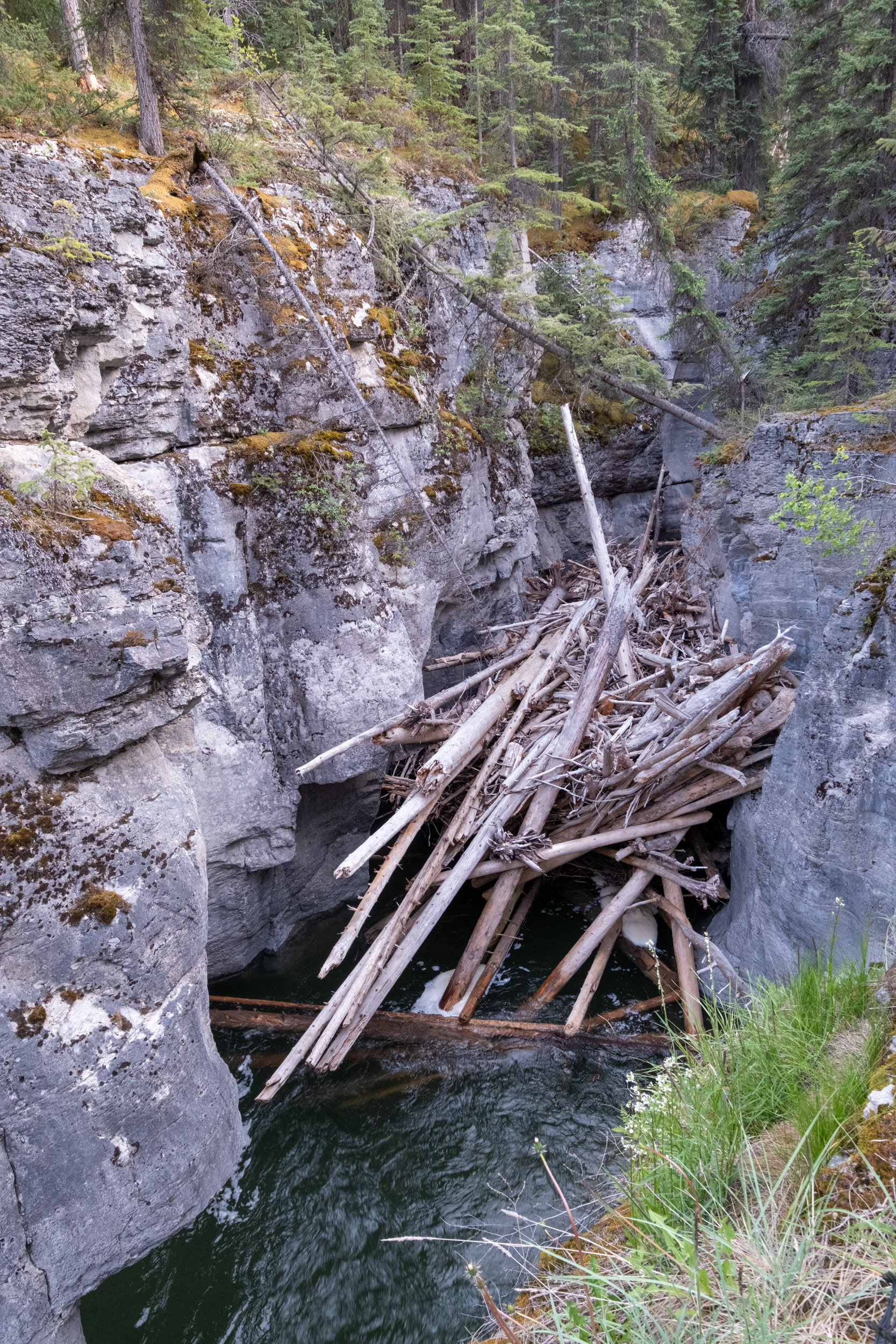 Cañón Maligne (Maligne canyon)