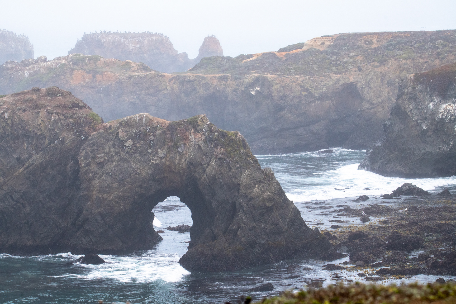 Costa de California, cerca de Mendocino