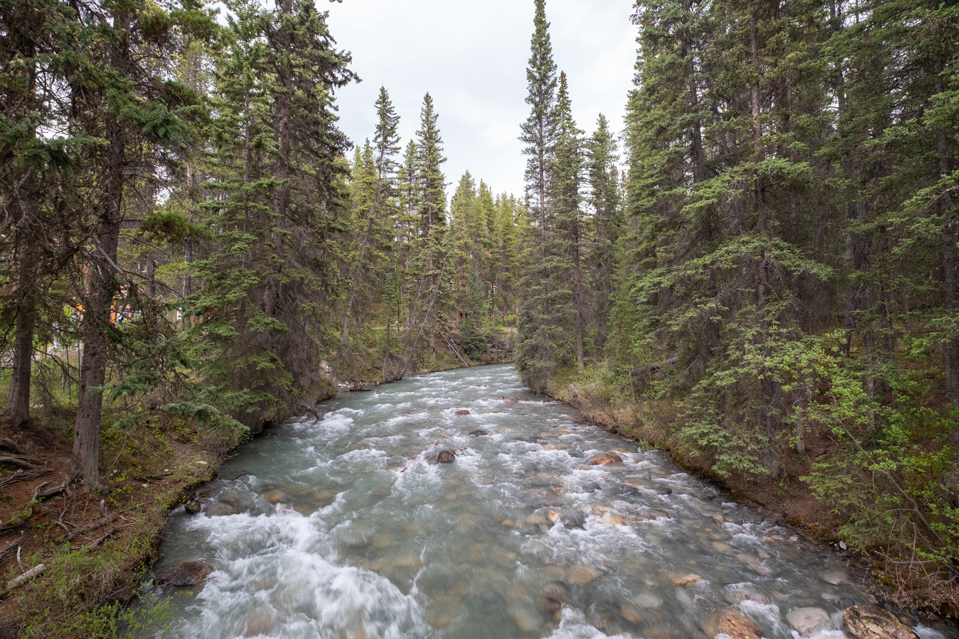 Johnston Canyon
