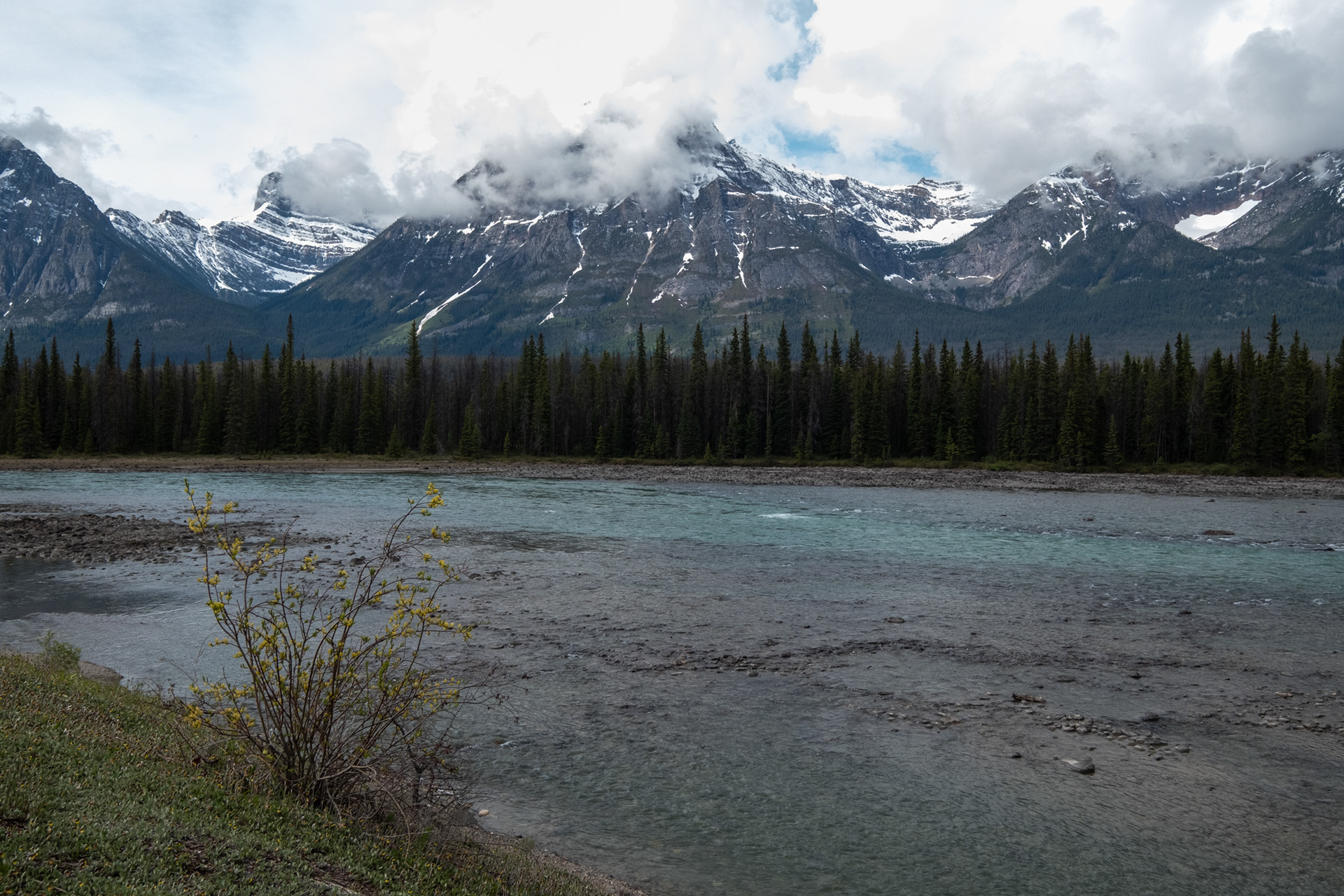 Icefields Parkway - ruta de los campos de hielos