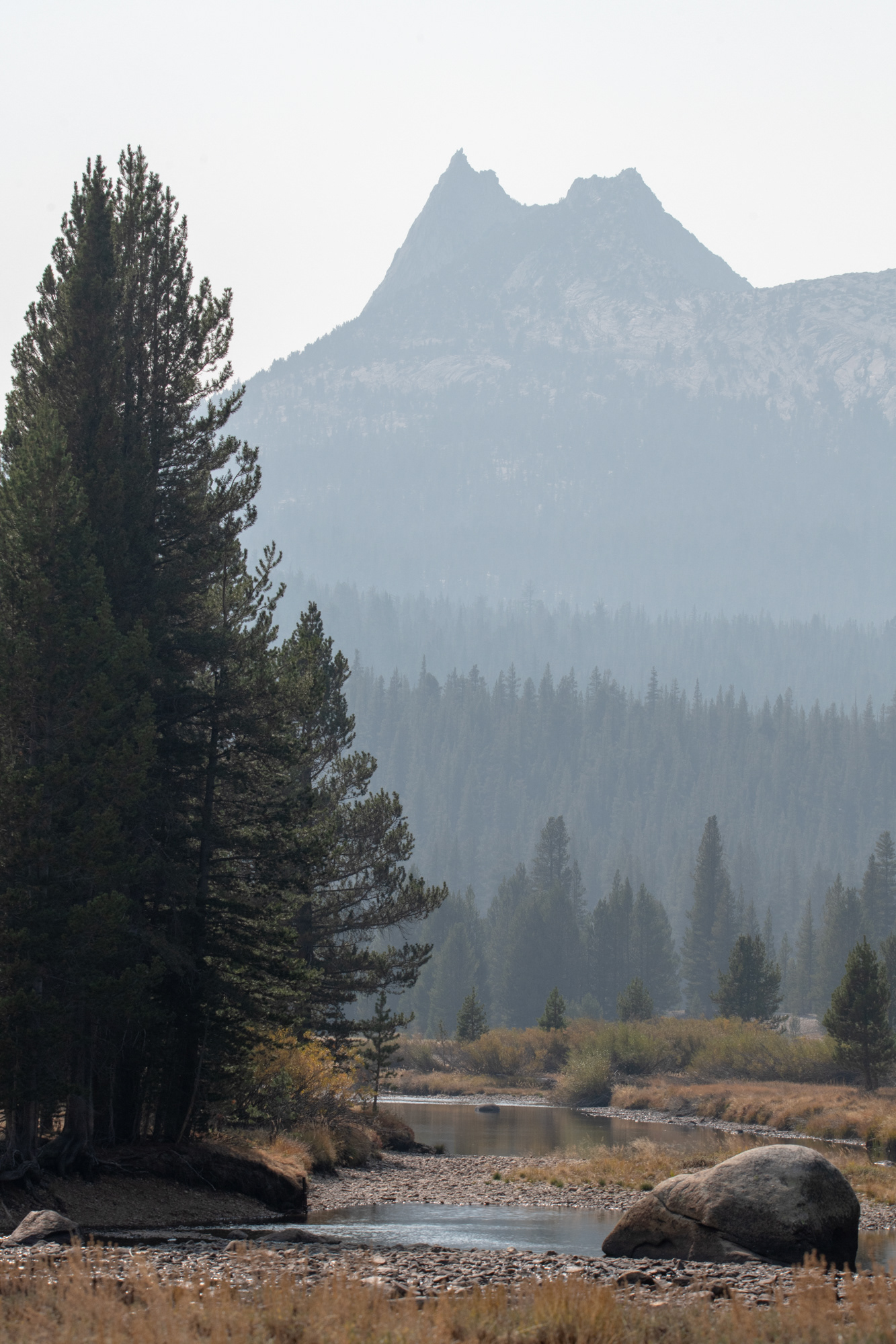 Yosemite - zona de Tuolumne Meadows