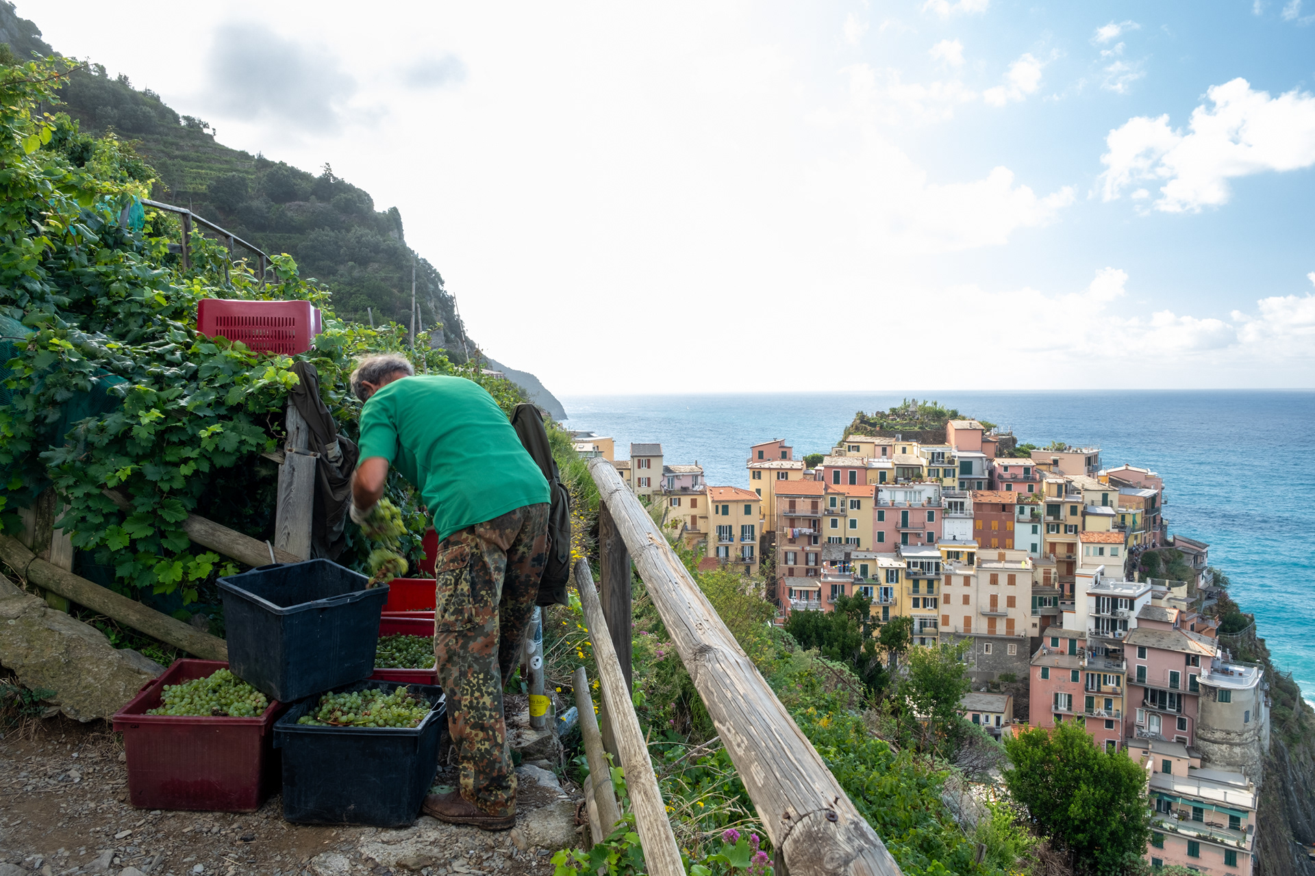 Manarola