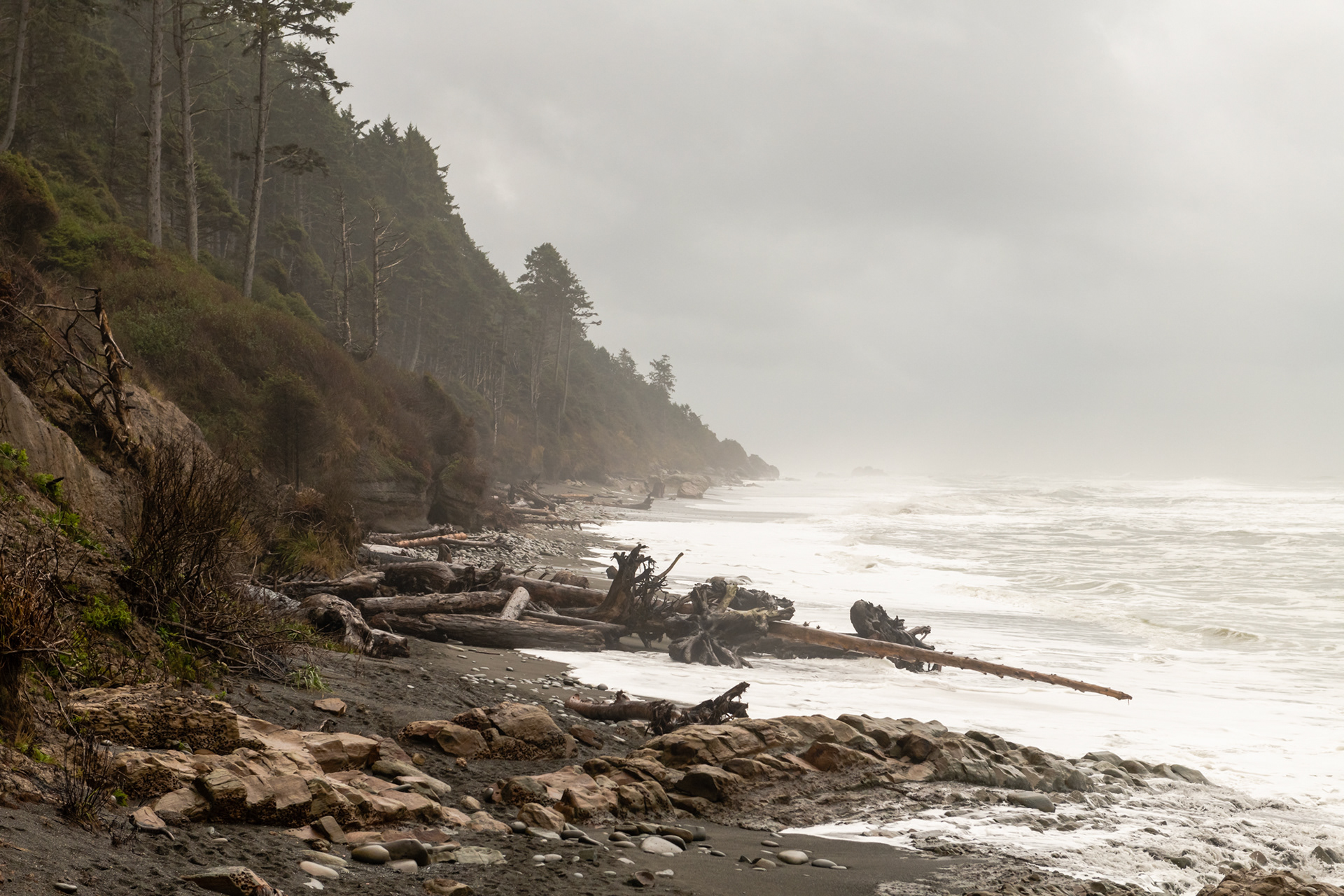 Kalaloch - Kalaloch Rocks