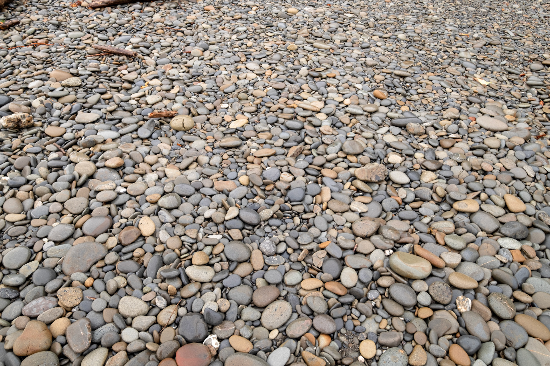 Ruby Beach - Kalaloch - Cedar creek
