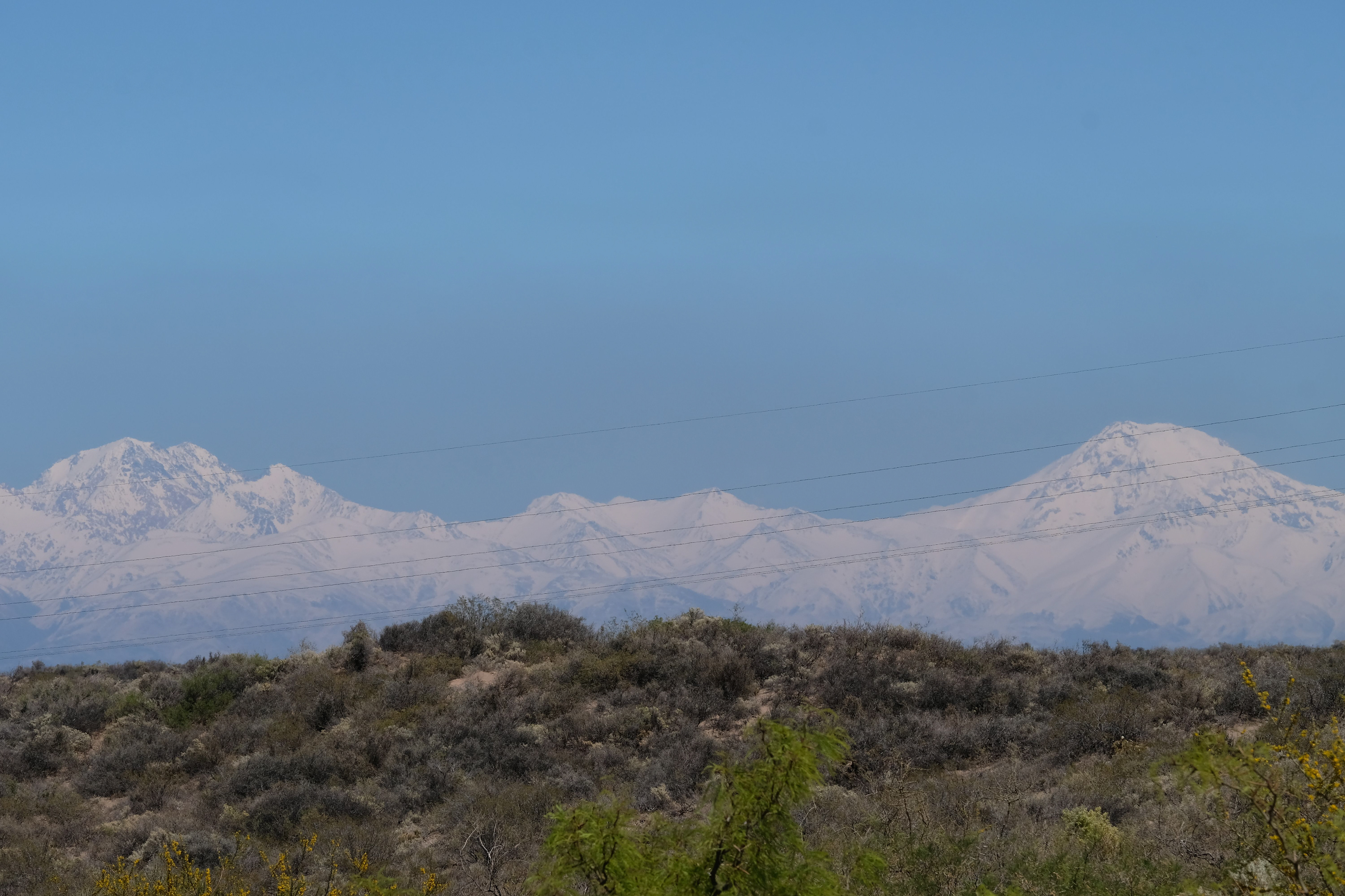 El Carrizal de Abajo