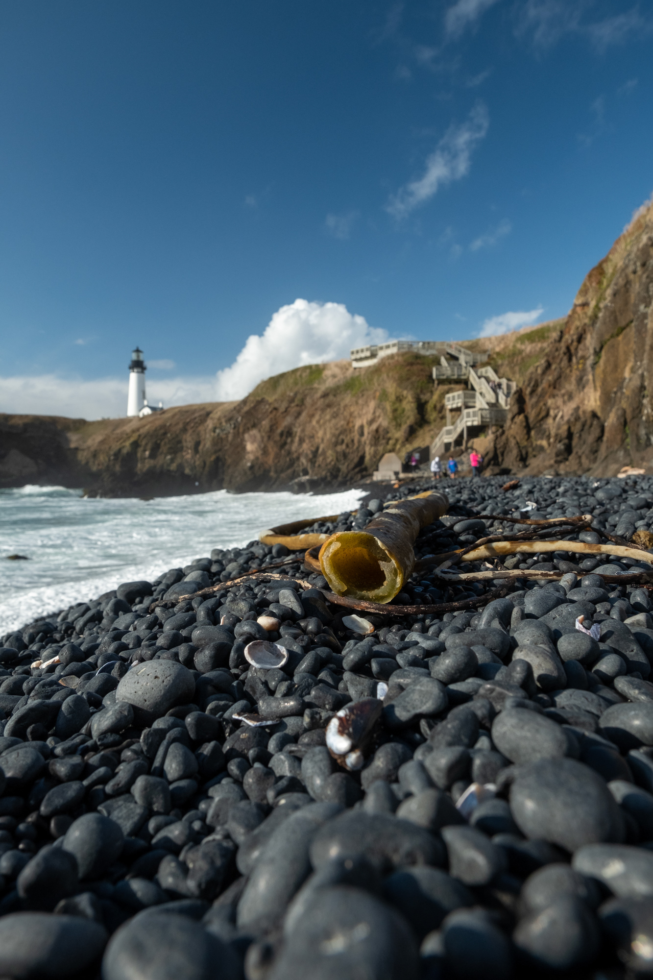 Faro Yaquina Head, OR