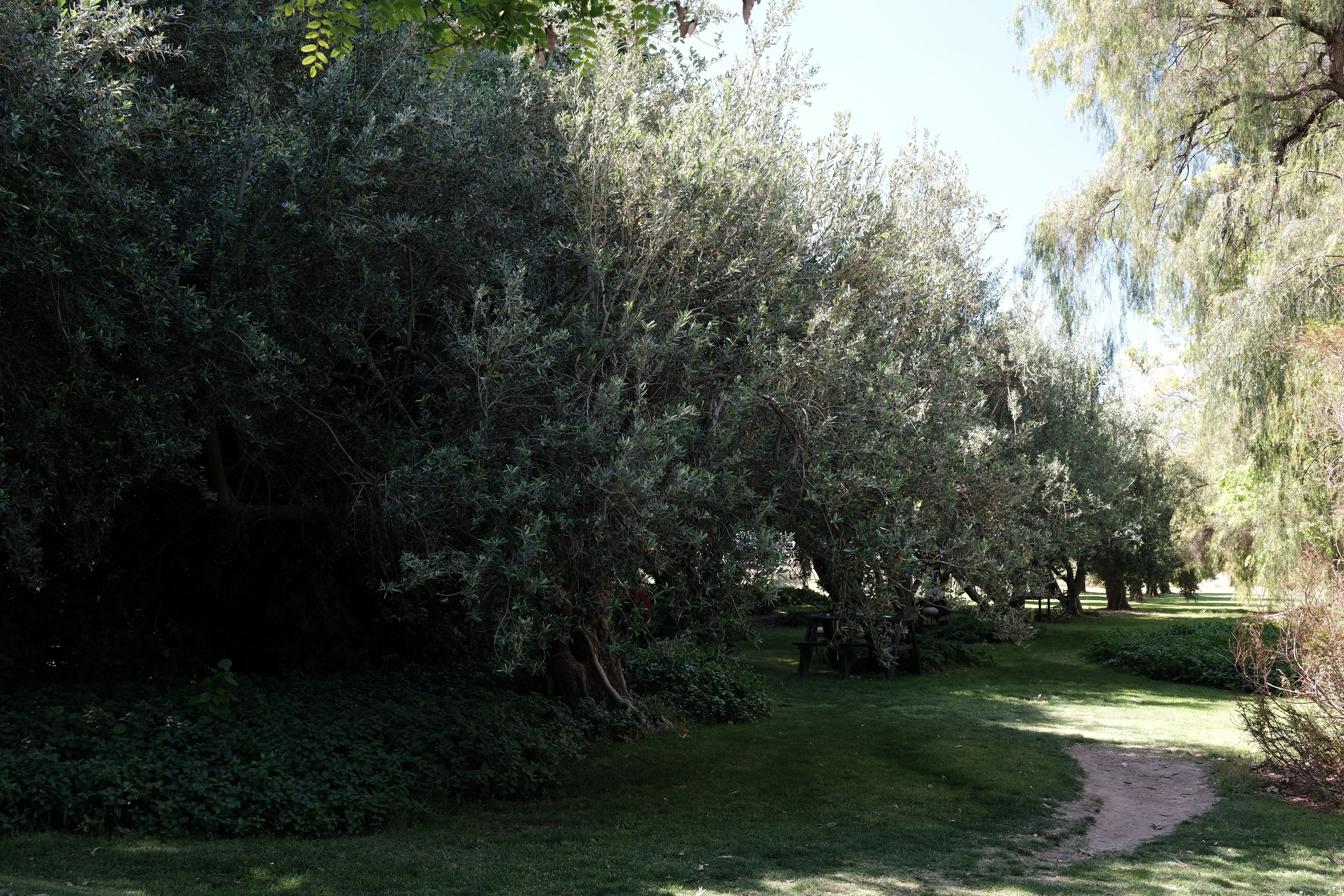 Bodega Santa Julia - Casa del Visitante