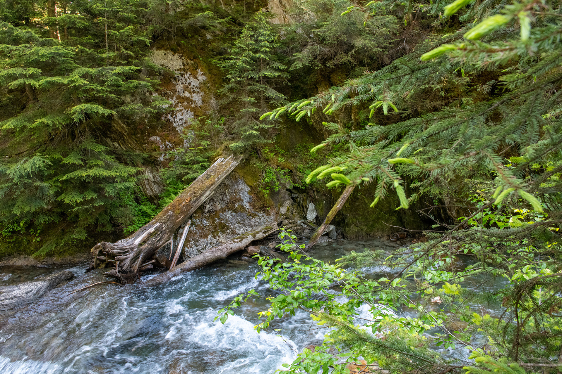 Glacier Nat. Park - Bear Creek Falls