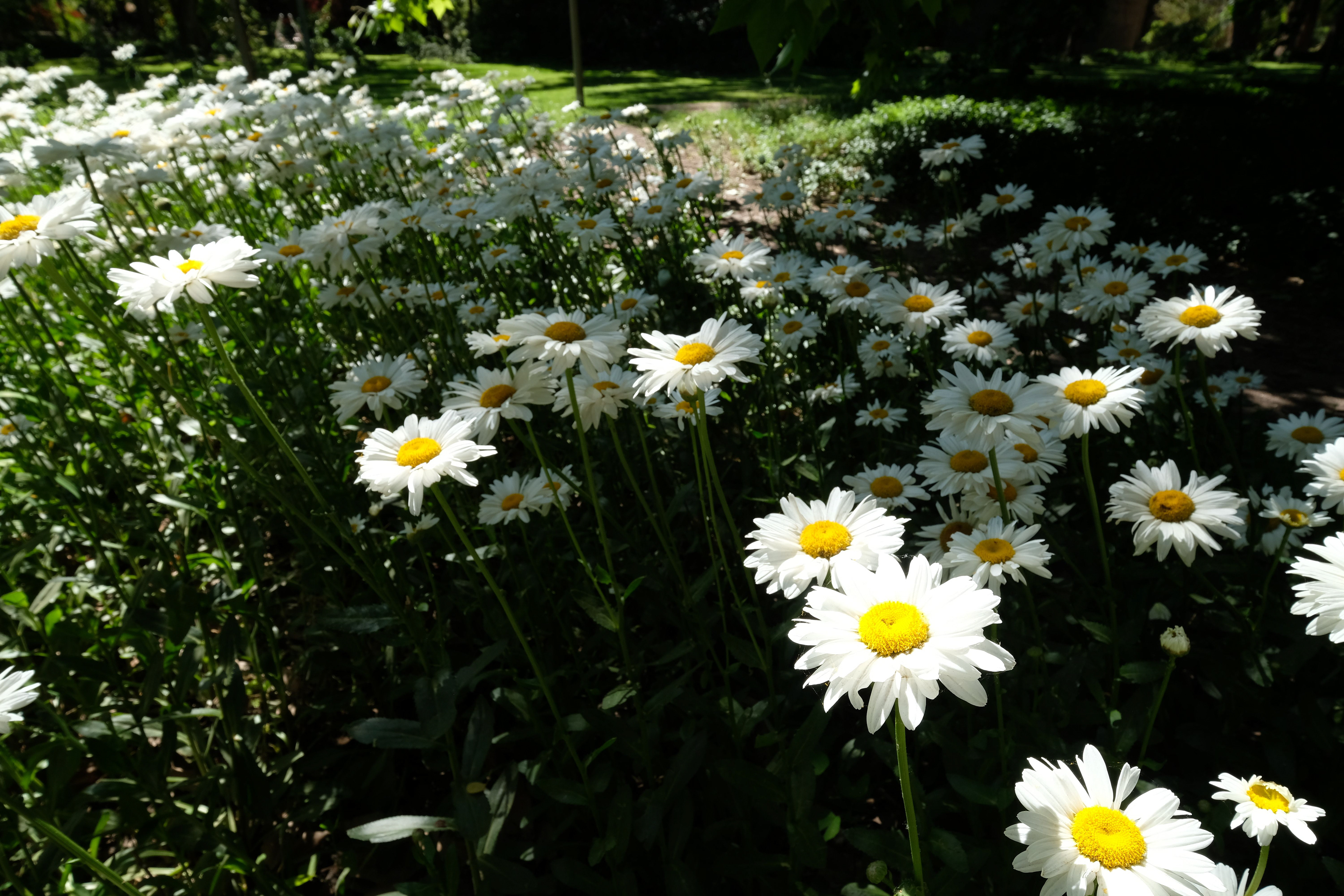 Bodega Santa Julia - Casa del Visitante